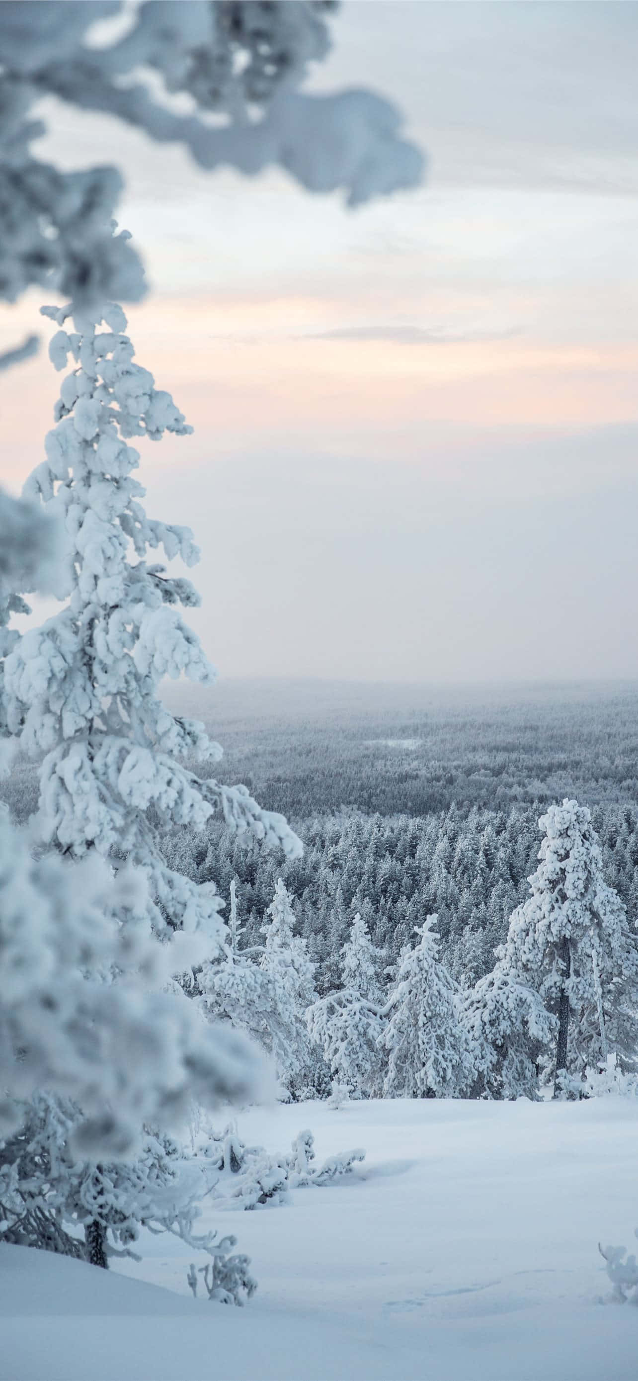 寧靜雪景全景 壁紙