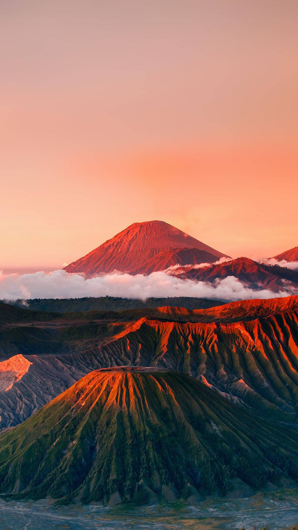 小紅山 壁紙