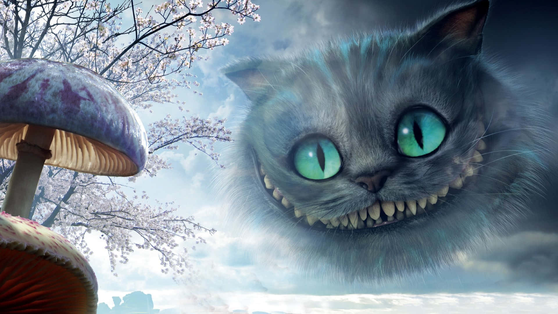 巨大柴郡貓在星光下狡黠微笑 壁紙