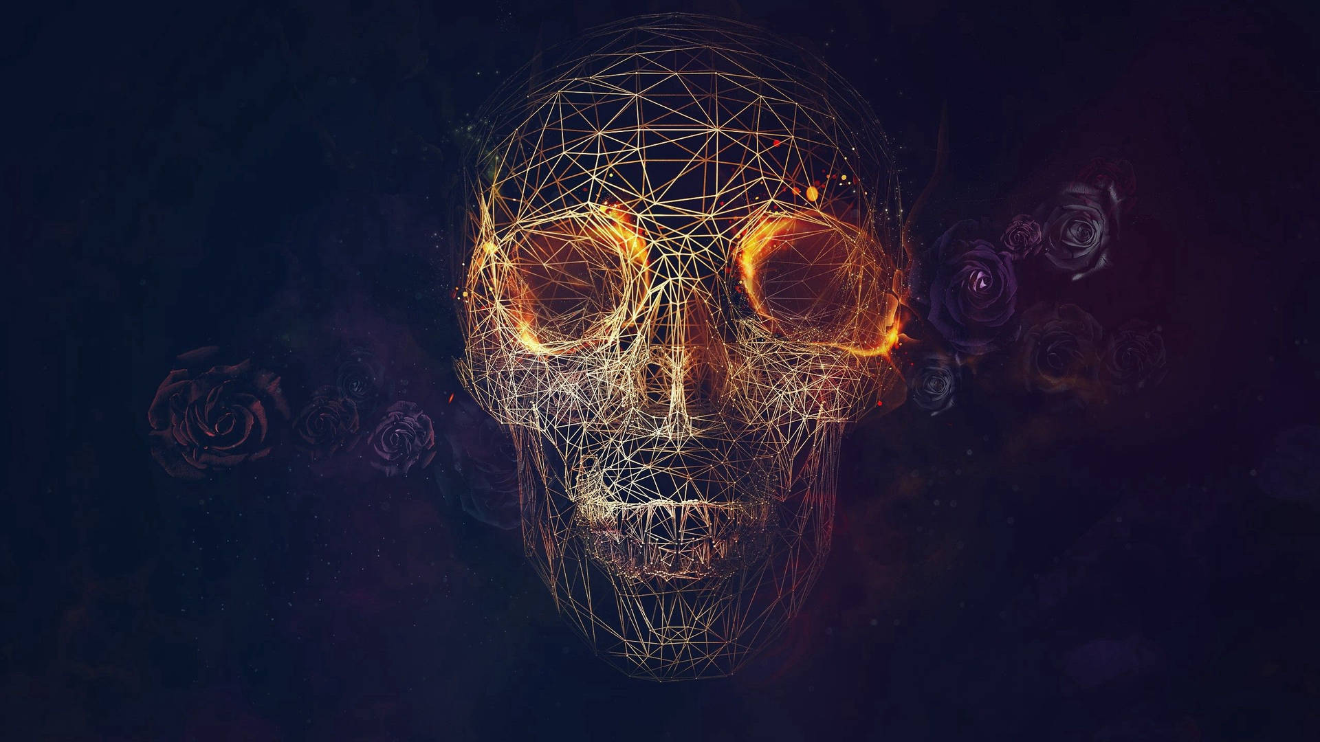 幾何線條與玫瑰環繞的骷髏。 — 骷髏 壁紙