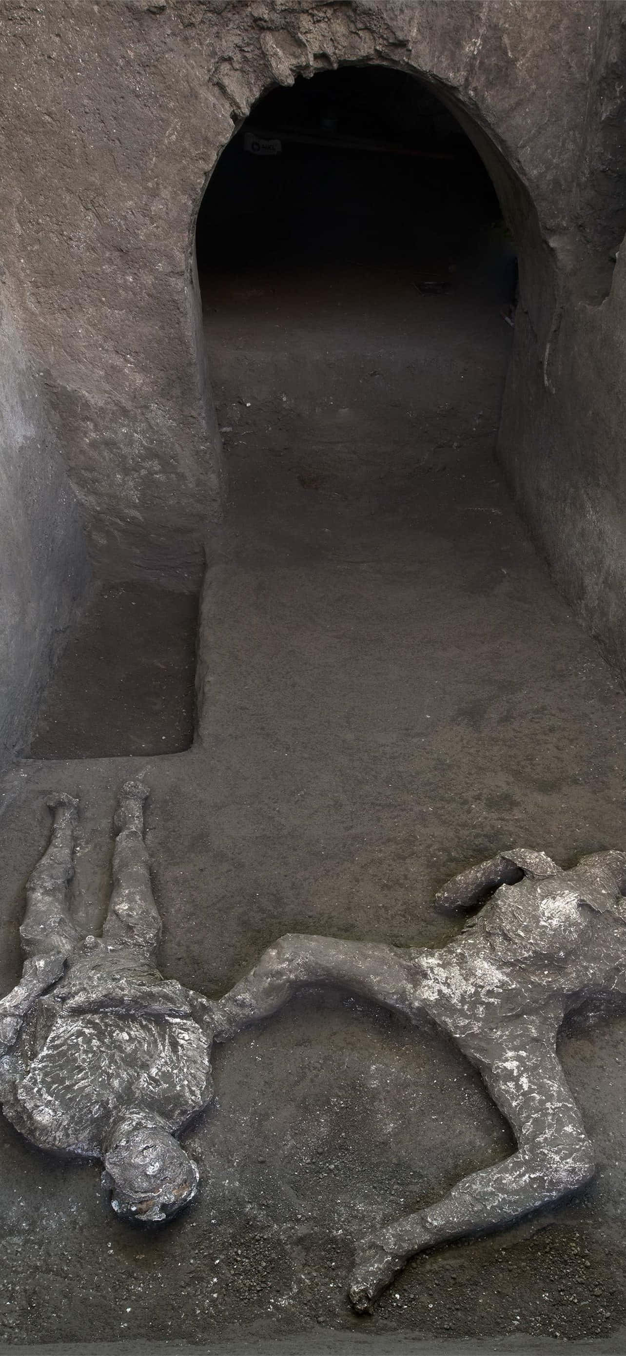 龐貝古城出土的人體遺骸 壁紙