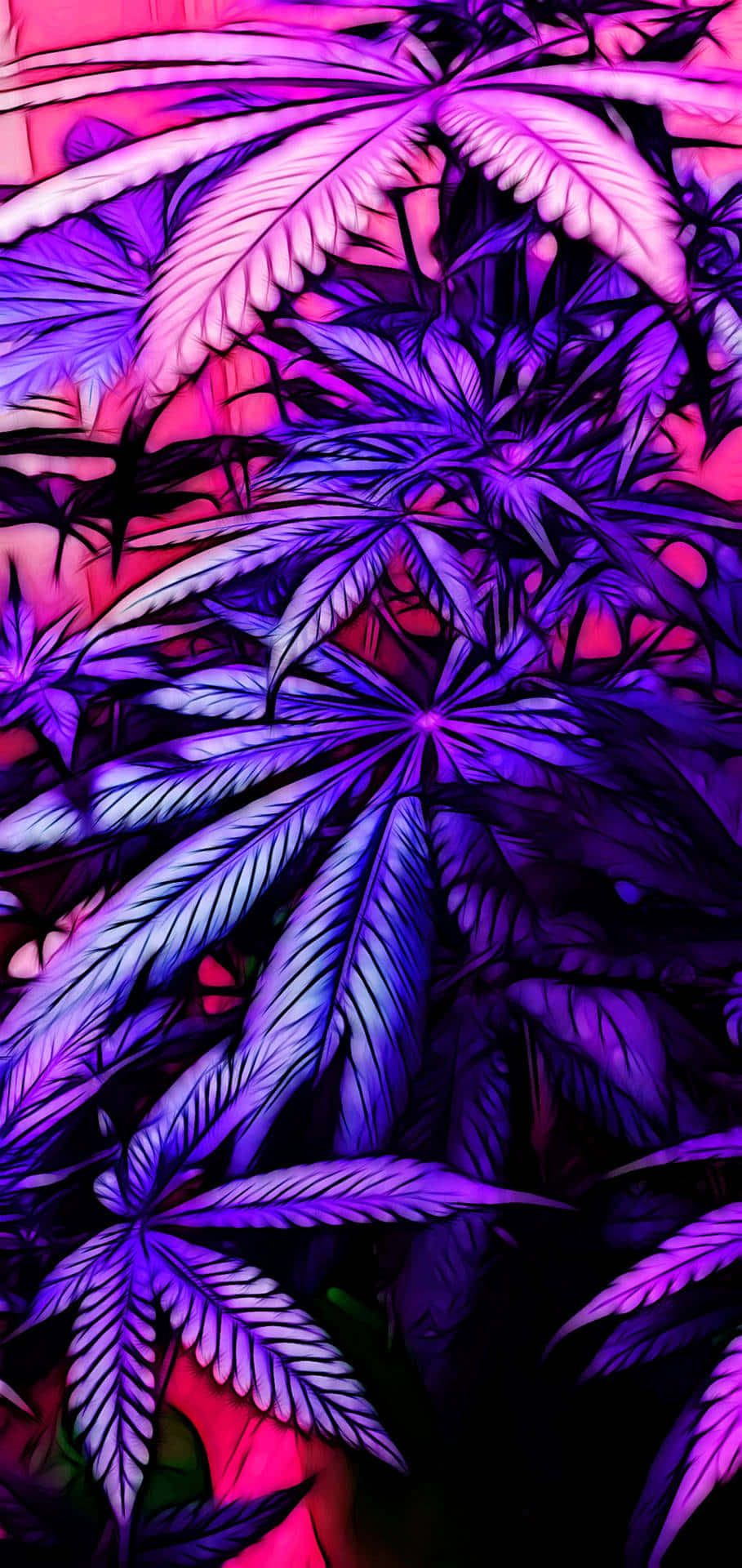 惊艳宁静的紫色美学 壁紙