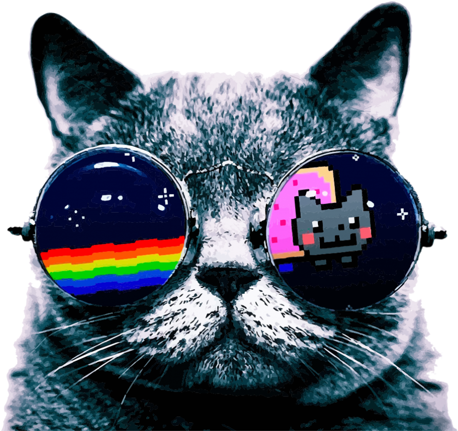 戴墨镜的酷猫表情包 壁紙
