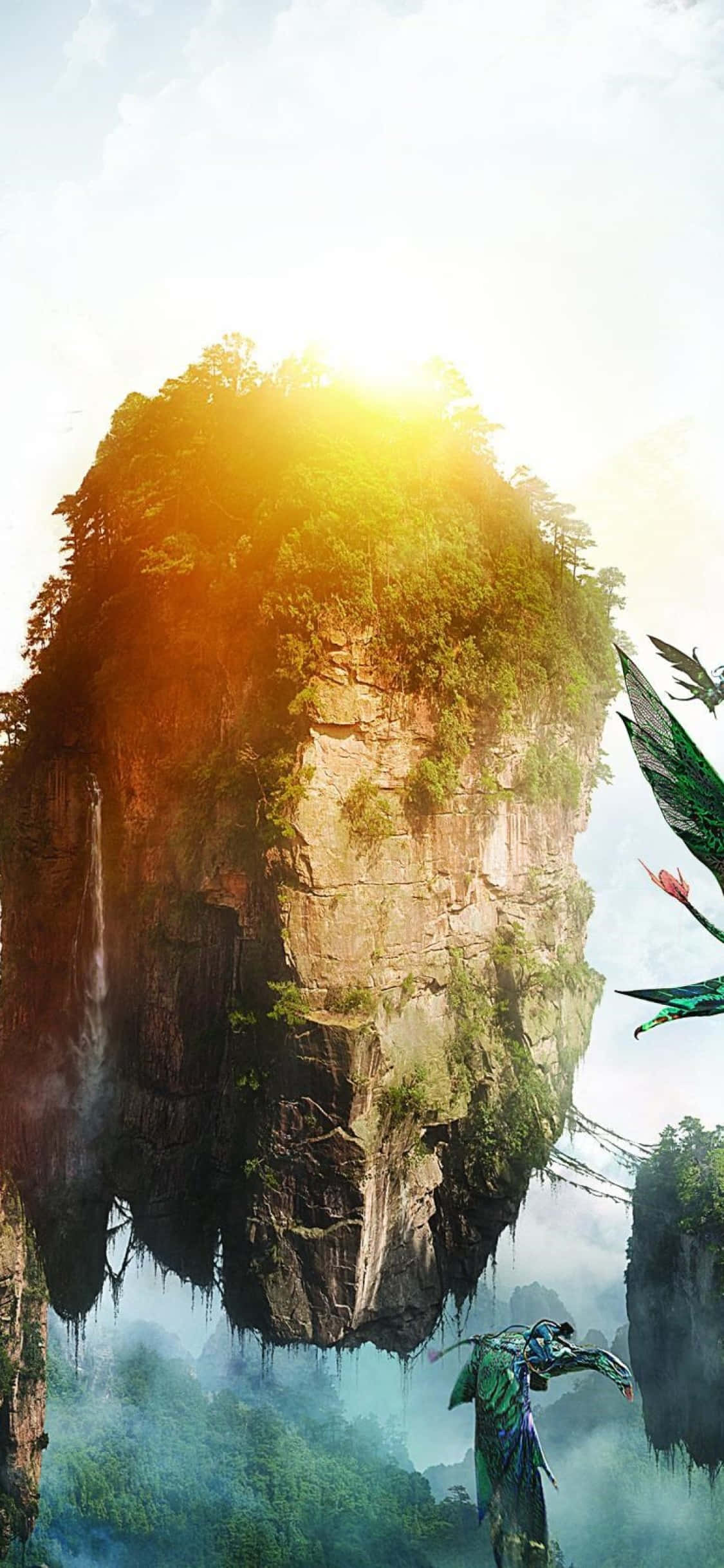 探索《阿凡達》中潘朵拉的神秘世界 壁紙