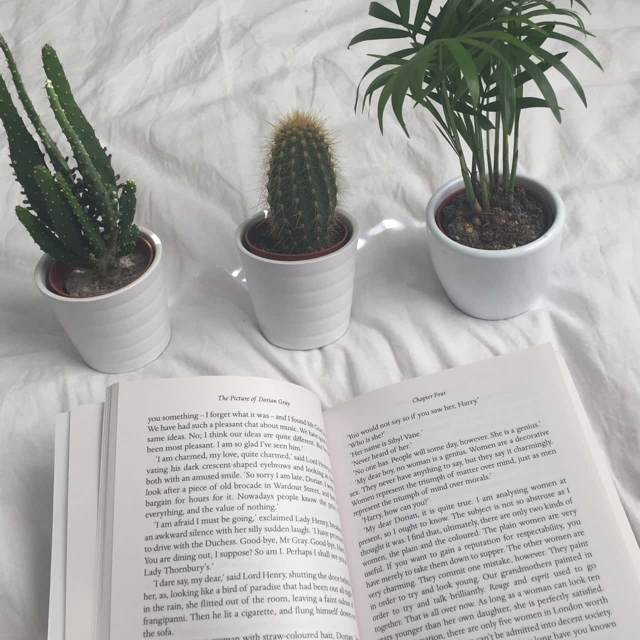 探索書本的世界！📖 壁紙