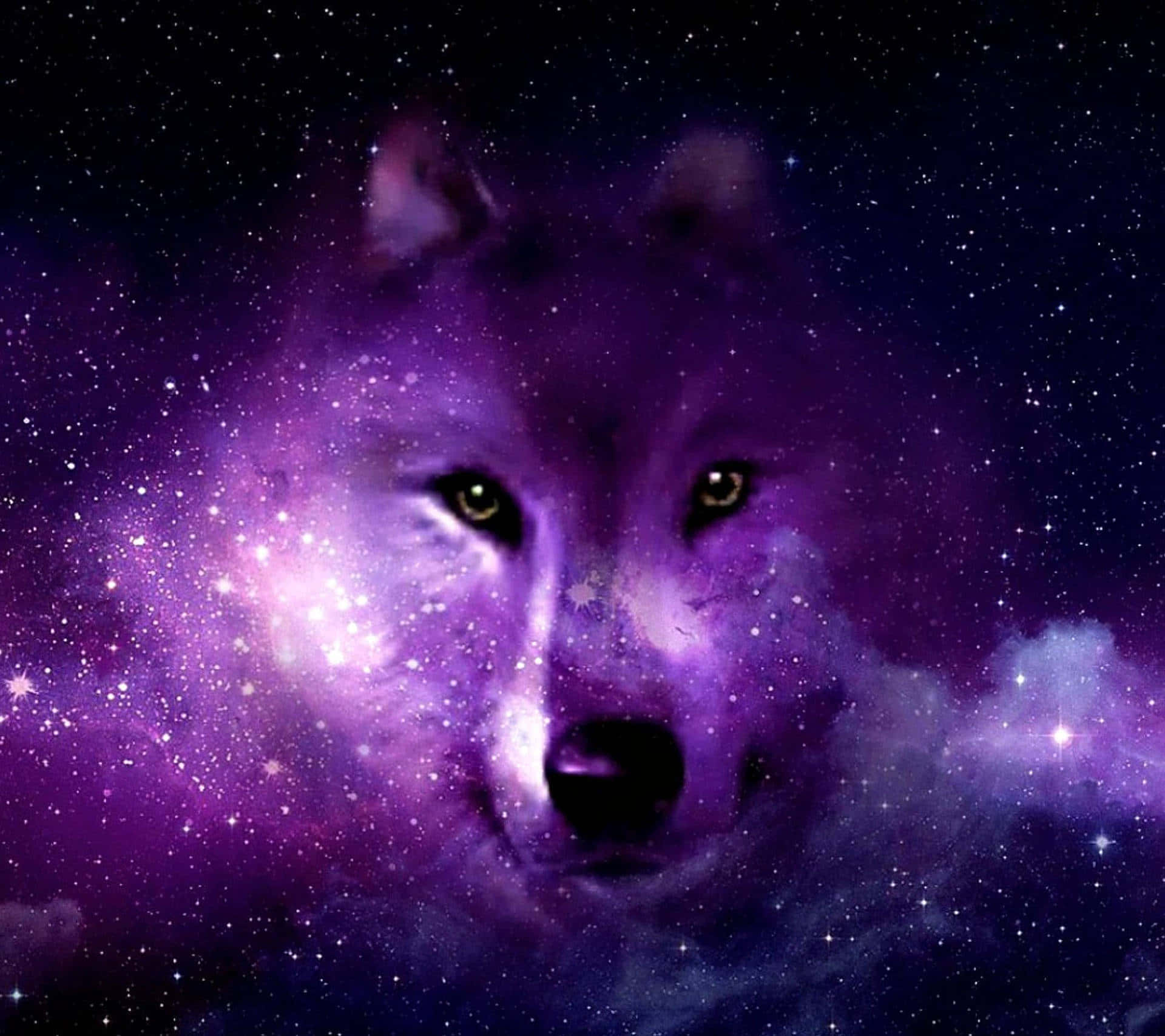 探索银河奥秘，与狼同行 壁紙