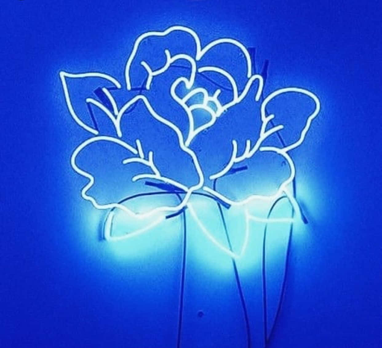 探索霓虹藍美學的超現實之美 壁紙