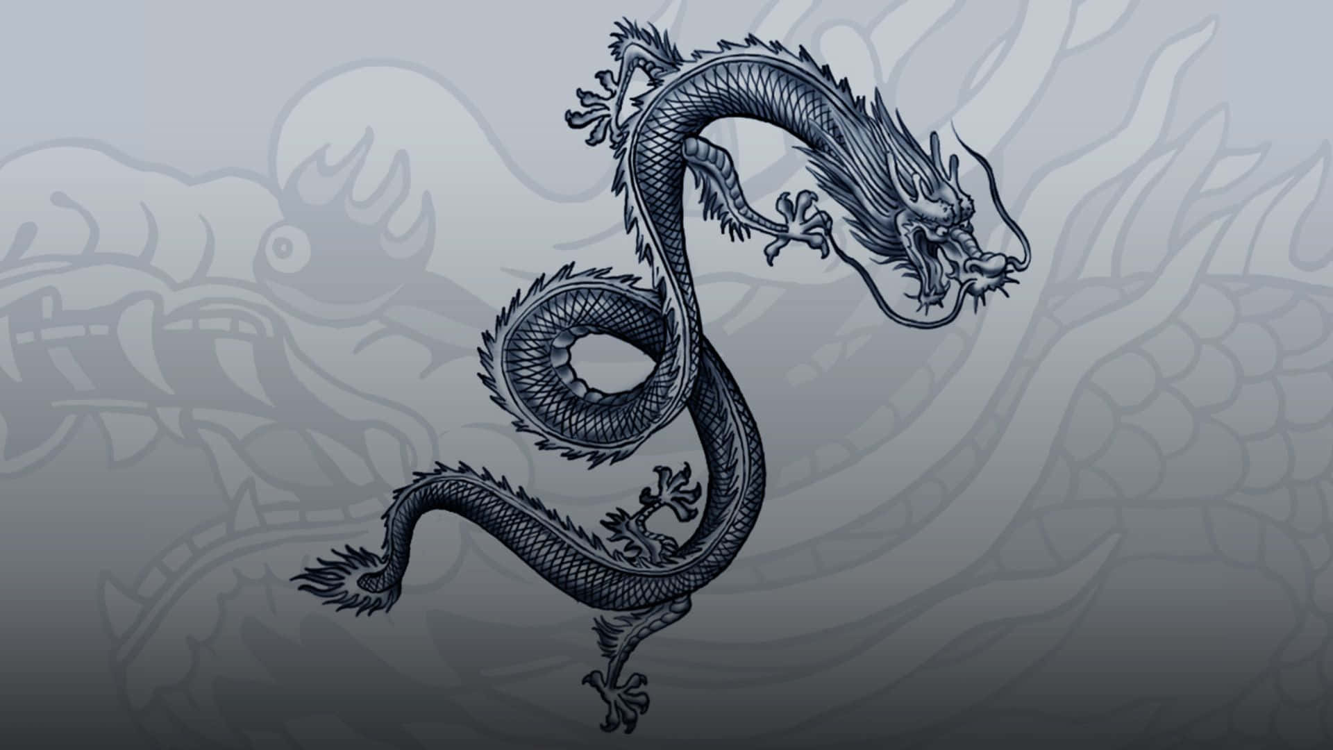 擁抱《睡犬》的快節奏動作 壁紙