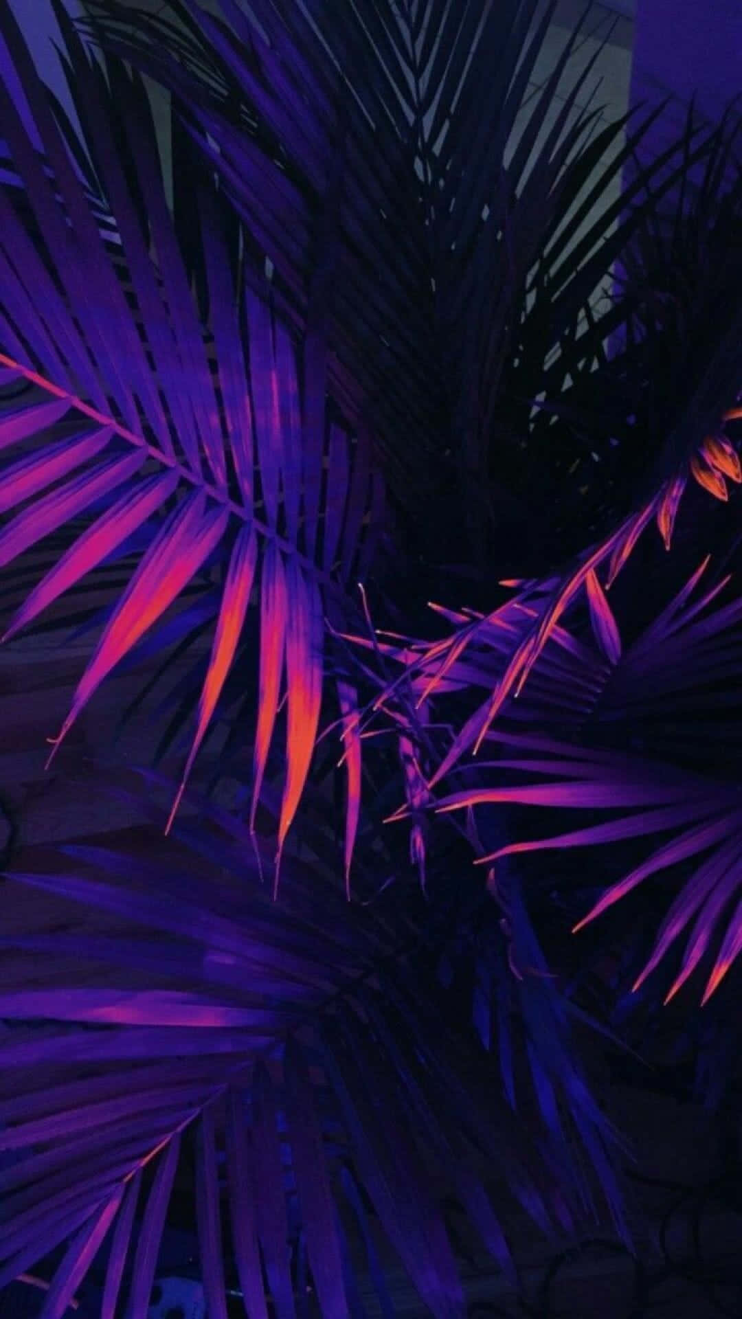 擁抱並讚頌生命之美 壁紙