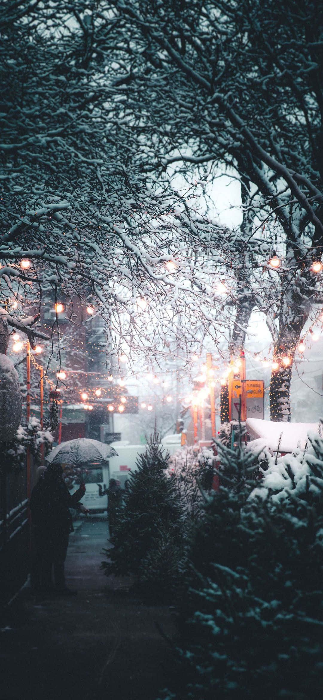 擁抱冬日雪景美學，感受清冷季節的靜謐。 壁紙