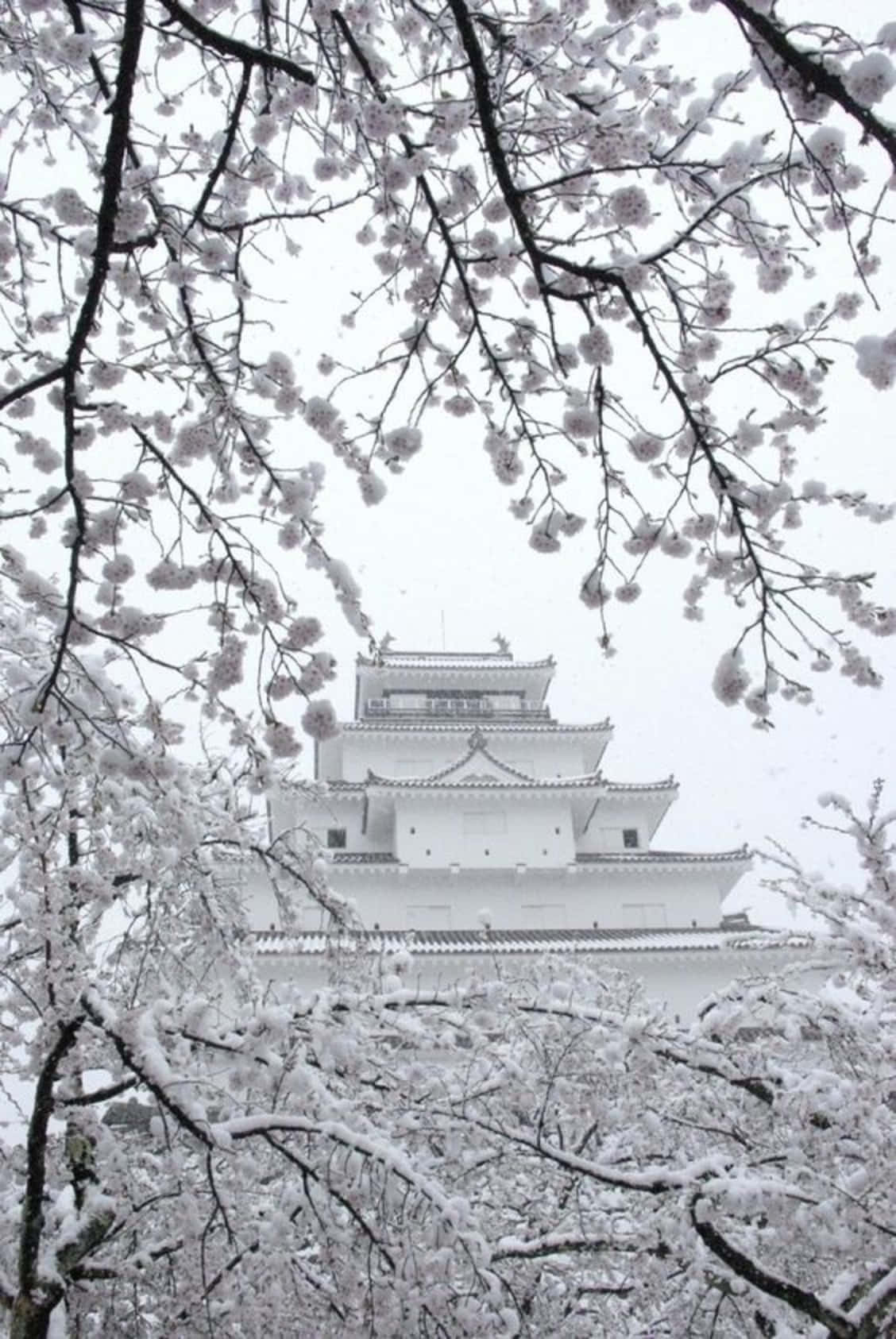 擁抱簡約之美 壁紙