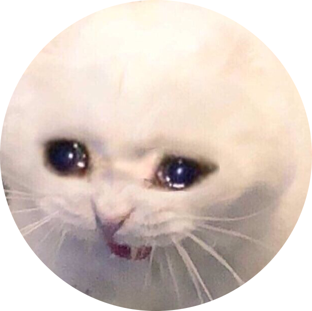 擔憂貓迷因圓圈 壁紙