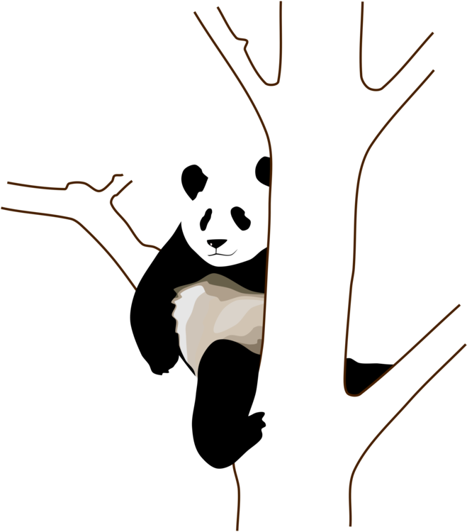放鬆熊貓攀樹圖 壁紙