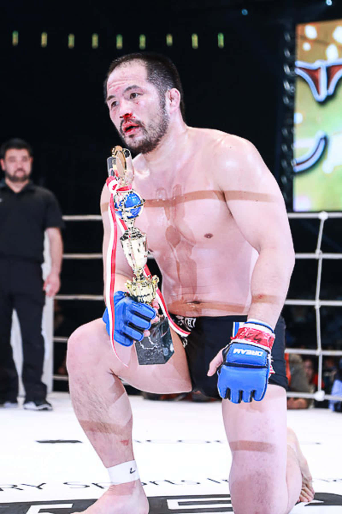 日本MMA選手林幸子滿臉鮮血 壁紙