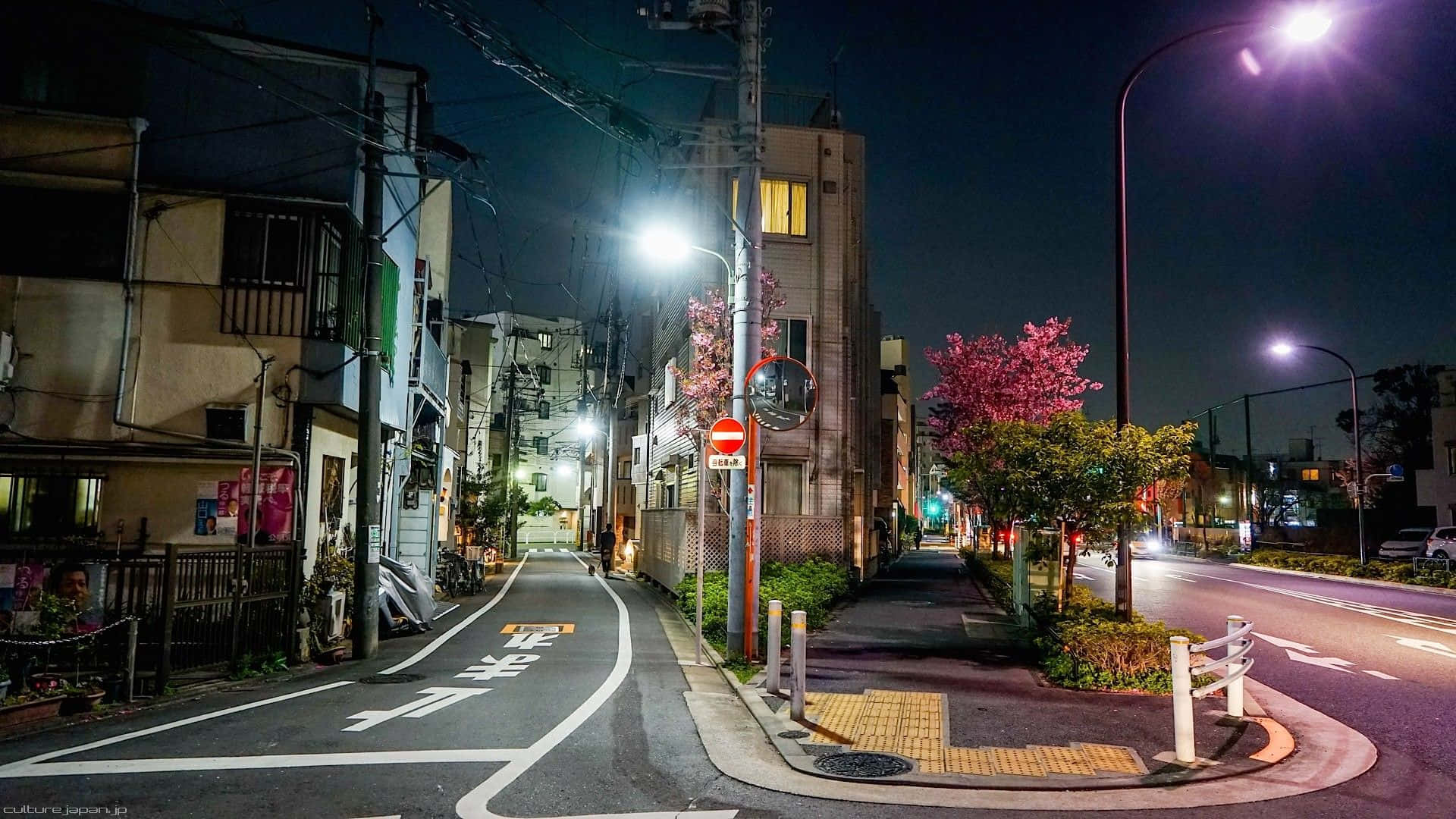 日本道路上的街灯 壁紙