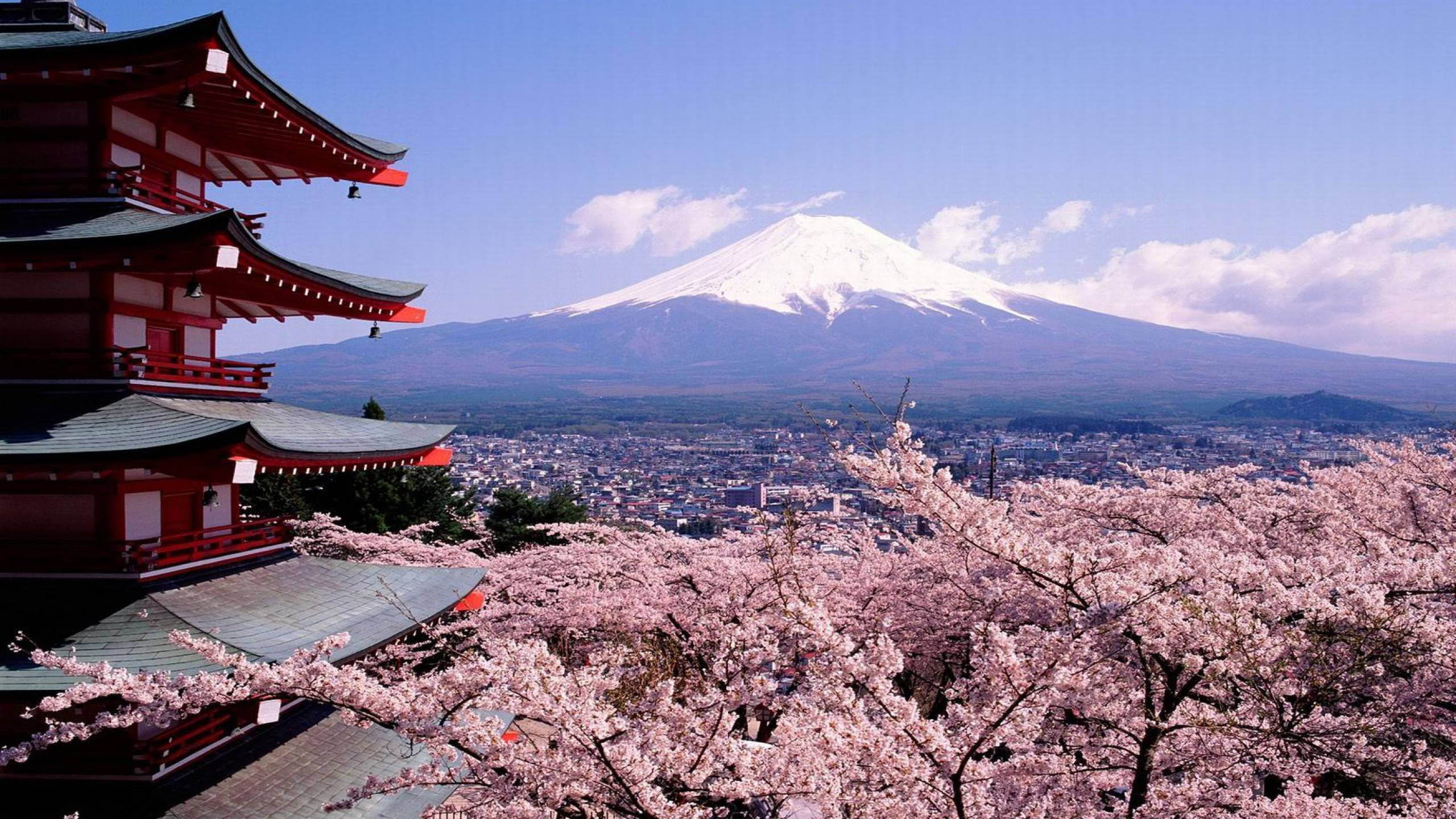 日本雪覆富士山 壁紙