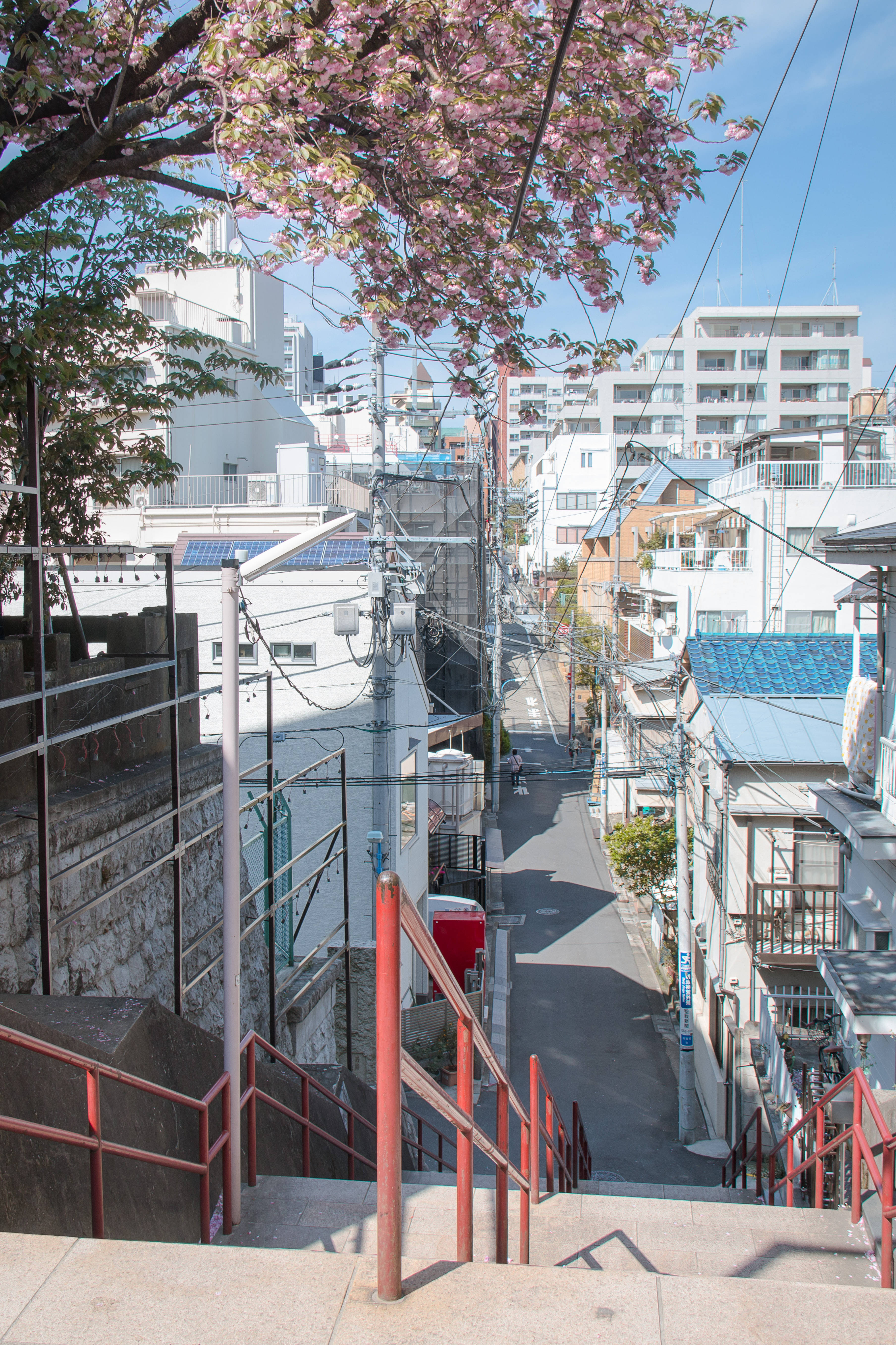 日本高清 须贺神社阶梯 壁紙