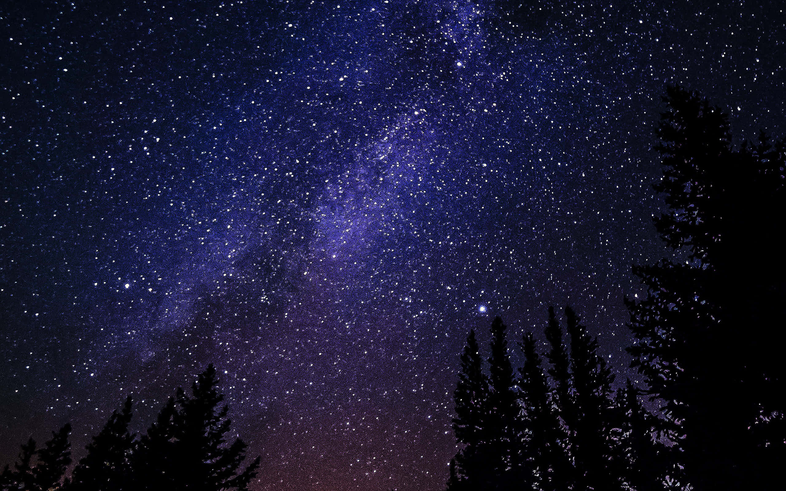 星光夜空與樹影 壁紙