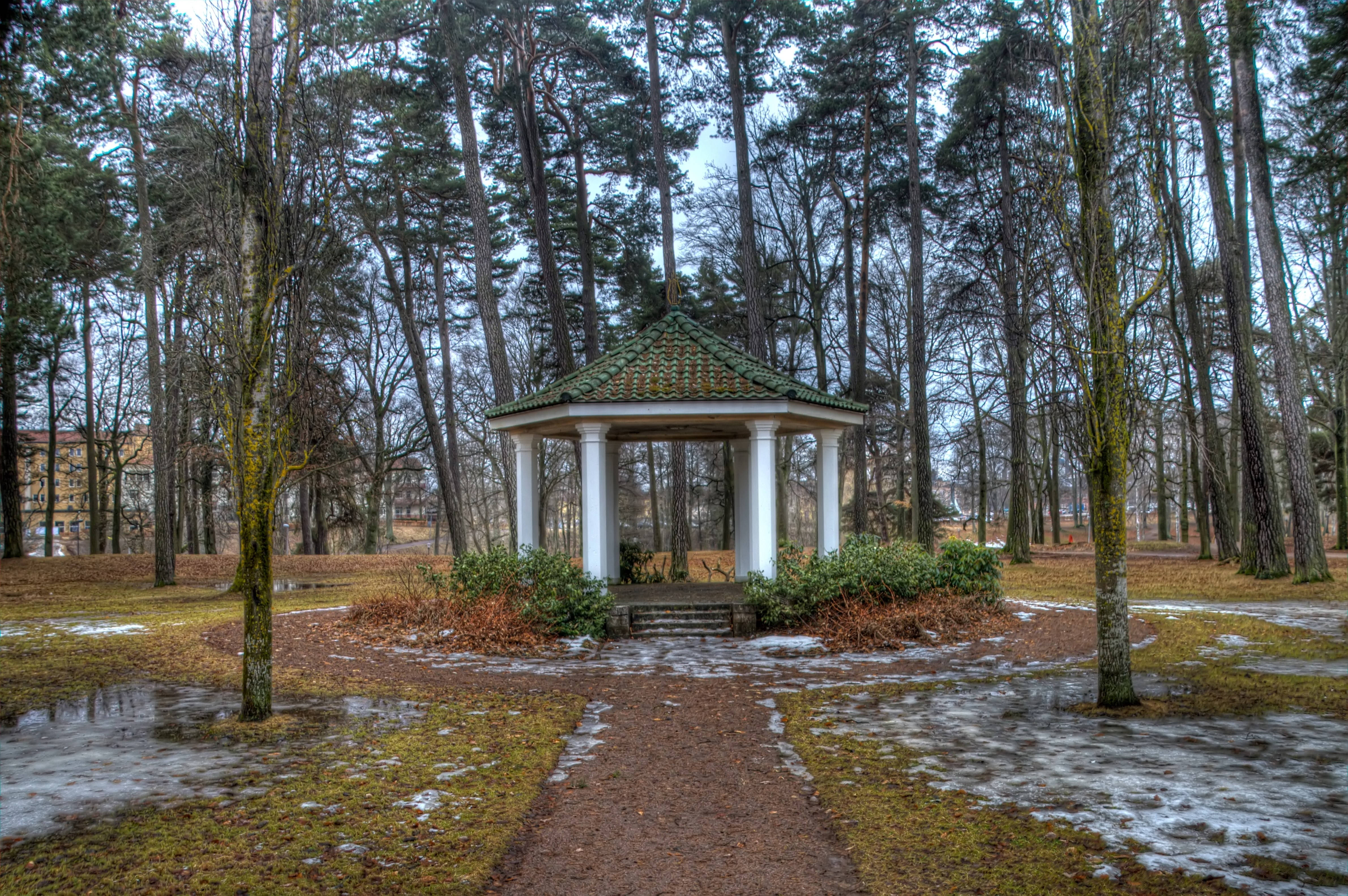 春季公園 壁紙