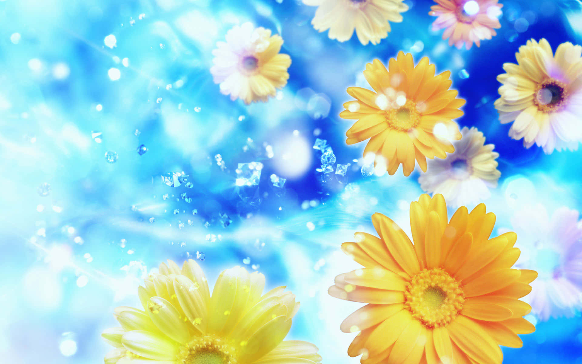 春日绽放的美丽花朵 壁紙