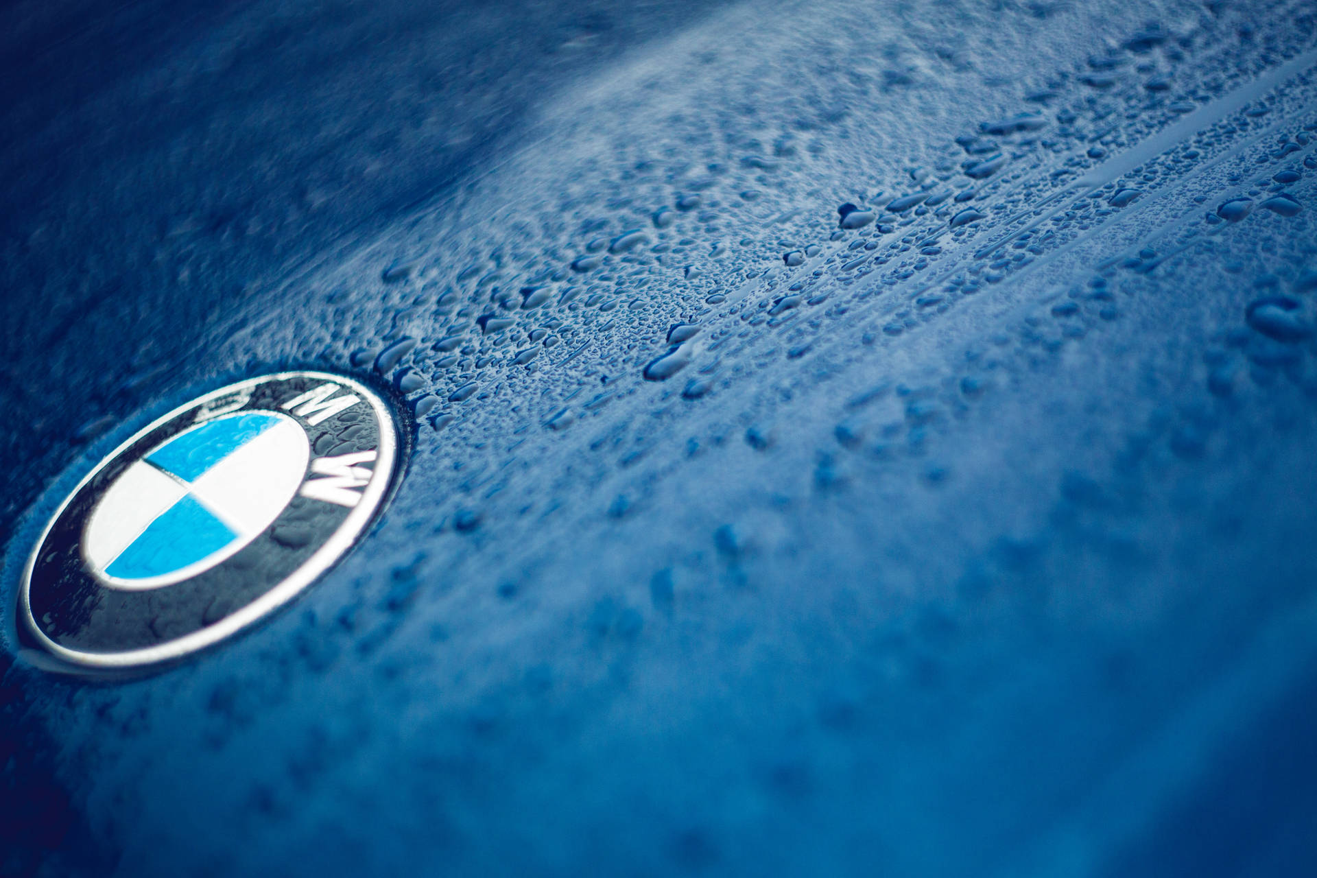 BMW標誌在藍色車上帶有水珠的特寫桌布 — 宝马 壁紙