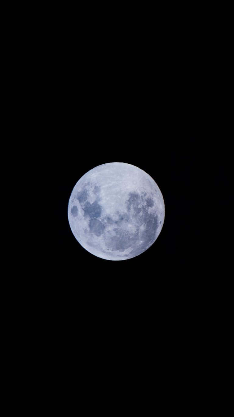 暗夜中的满月 壁紙