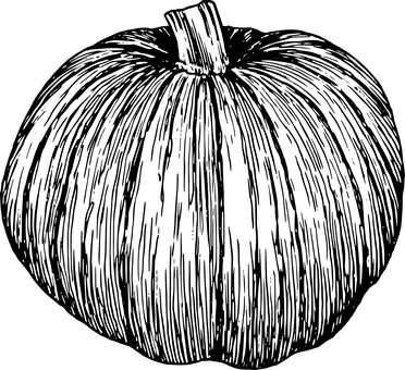 暗夜南瓜 壁紙