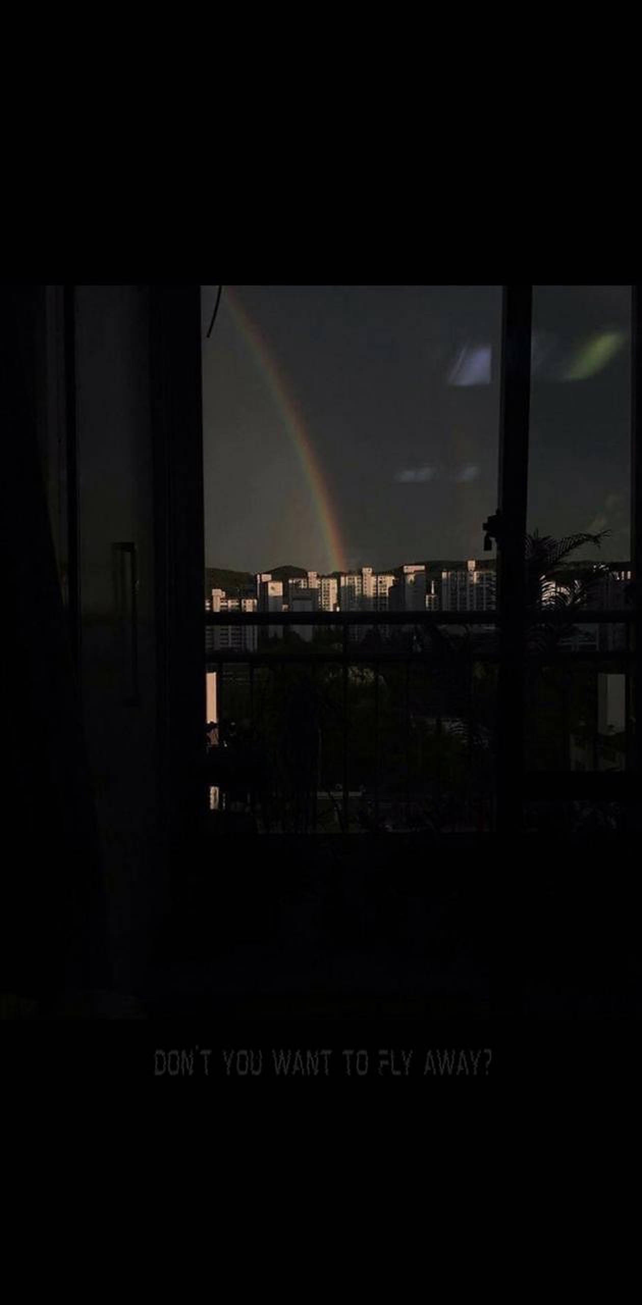 暗夜城市中的彩虹 壁紙
