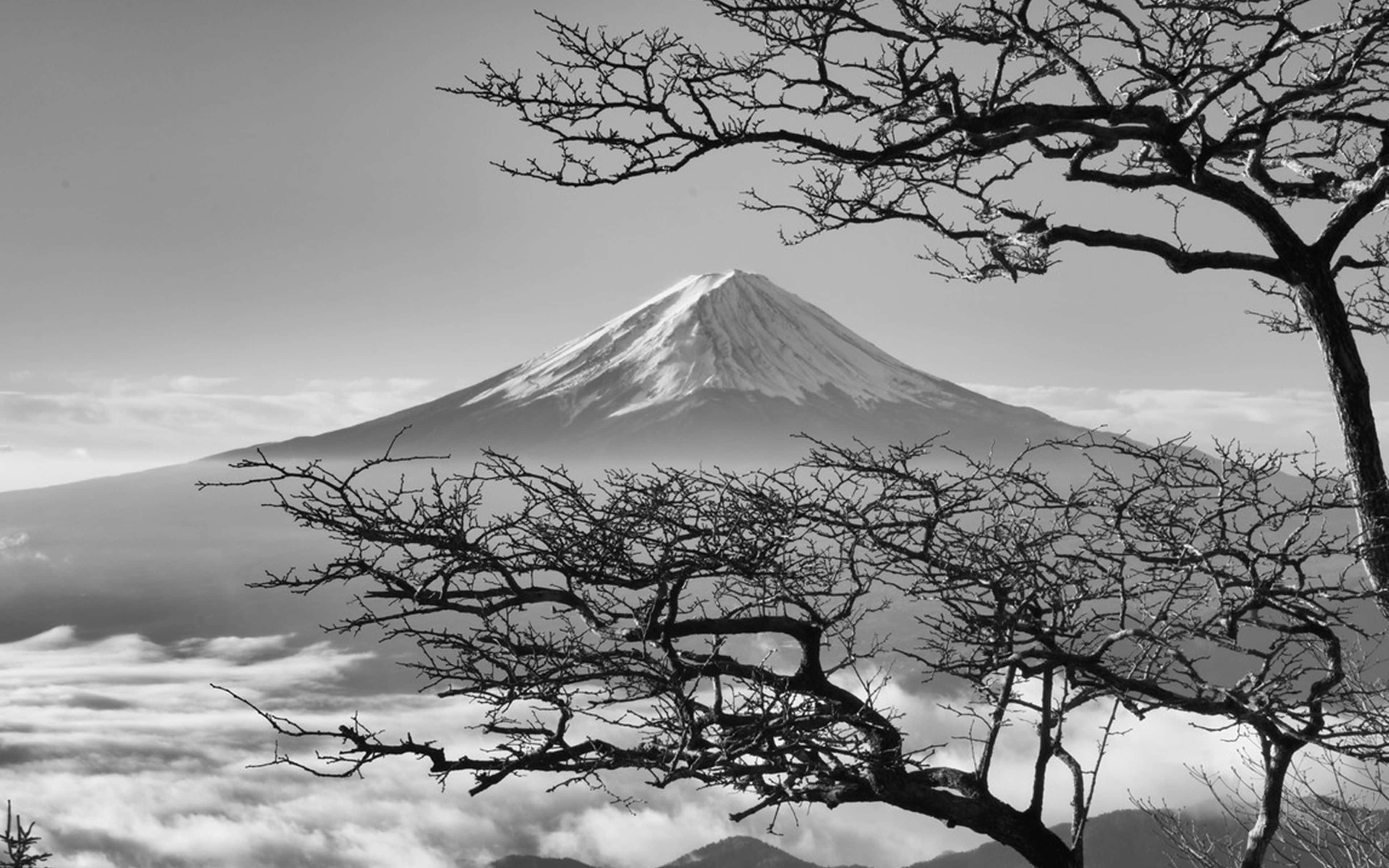 暗黑日本富士山與櫻花 壁紙