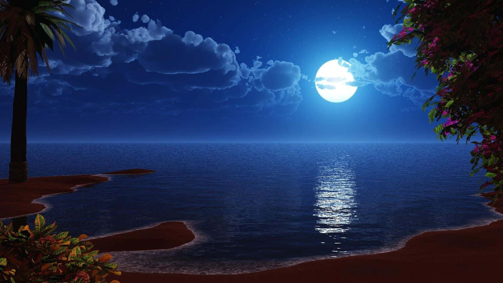 月光下的棕櫚樹海灘夜景 壁紙