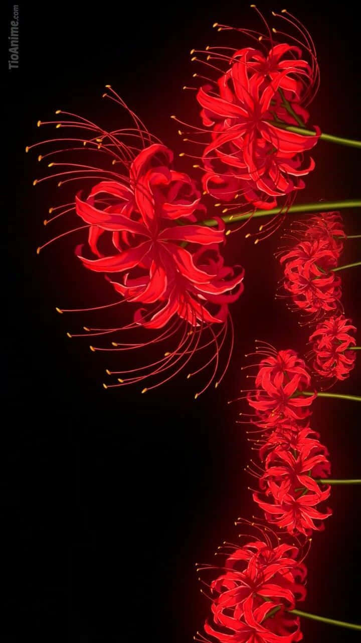 東京喰種之花
