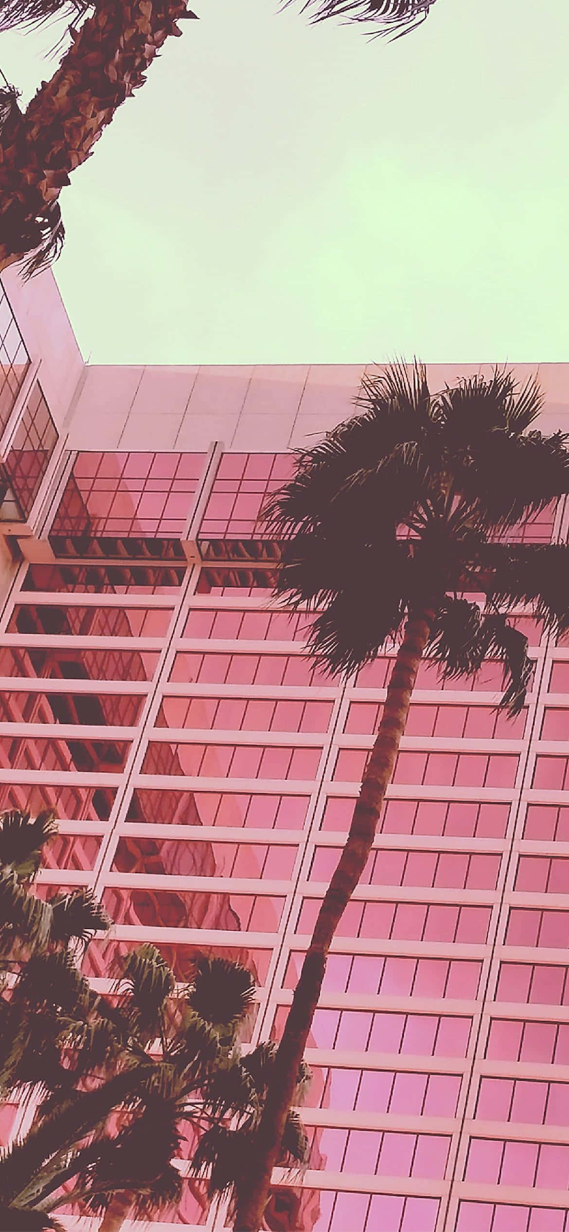 柔和甜美的美學嬰兒粉 壁紙