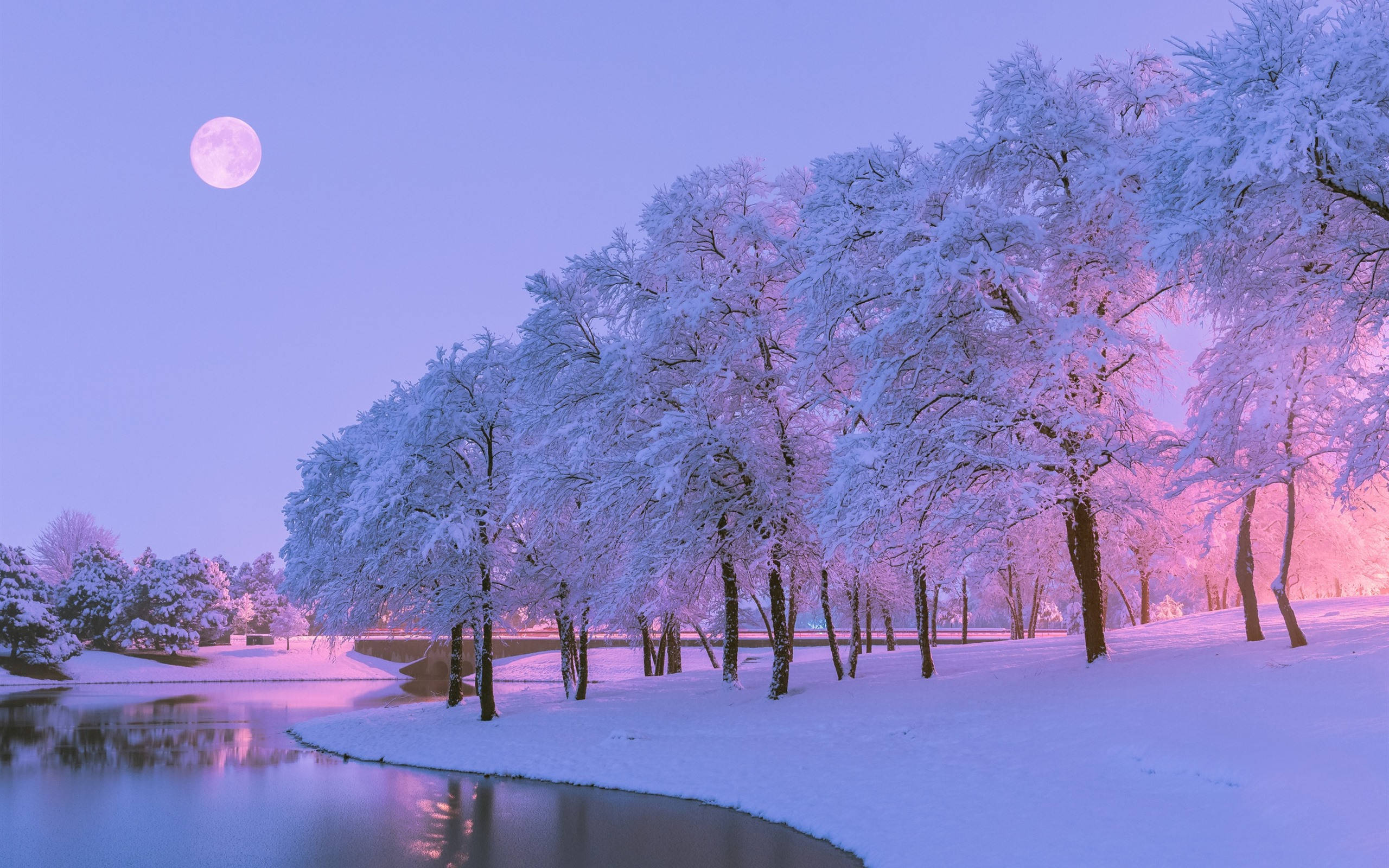 柔和雪景美學 壁紙