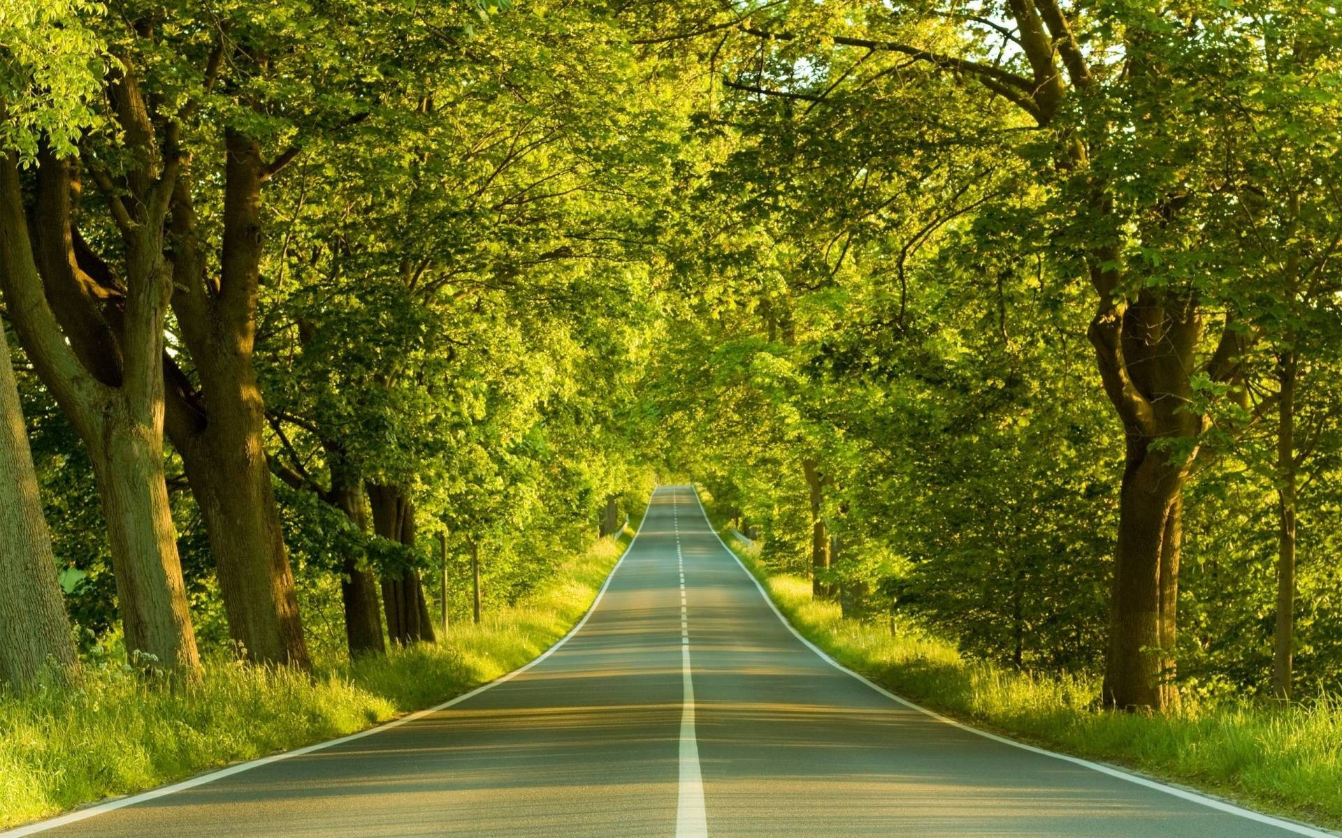 桌面全屏高清道路