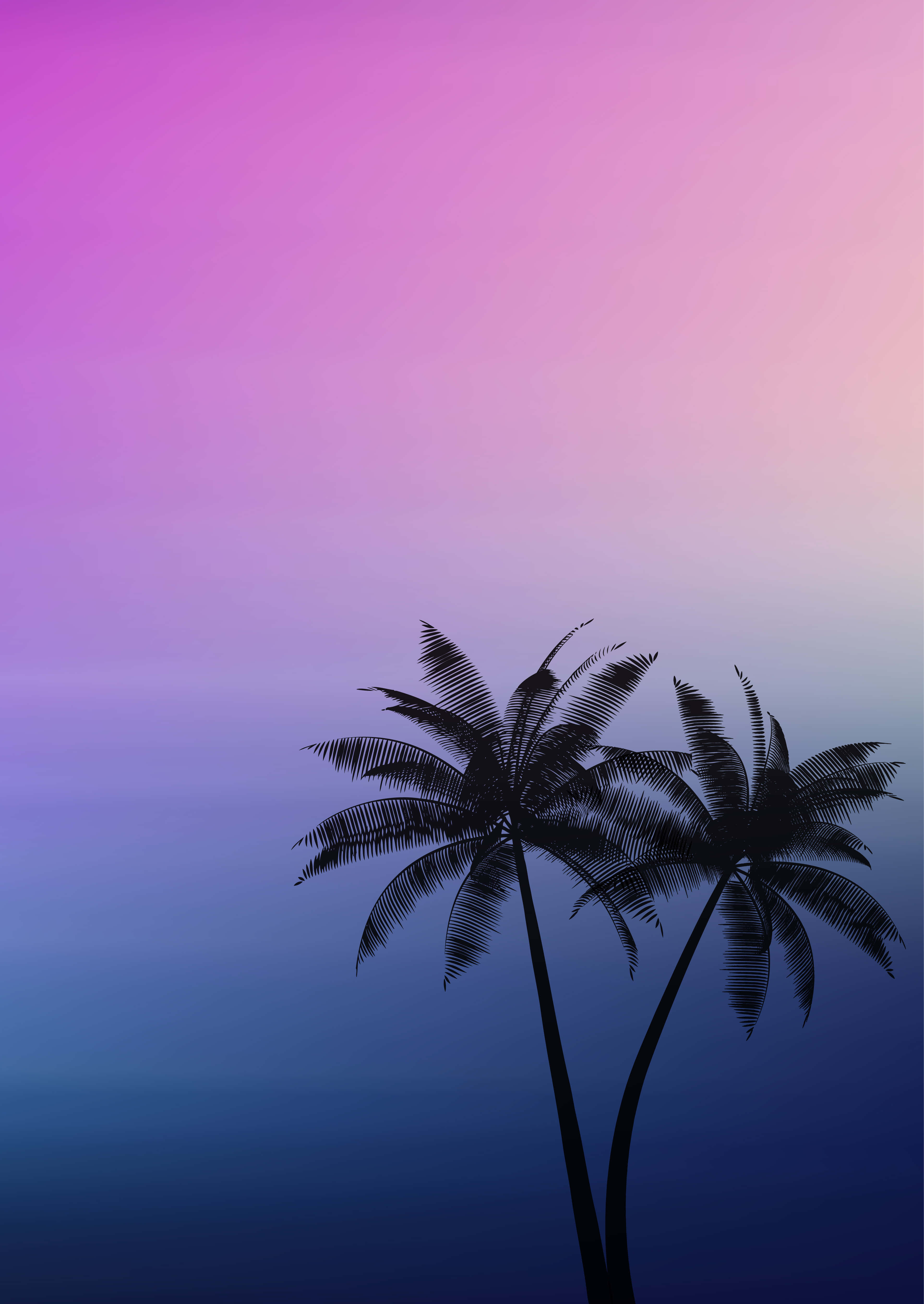 棕榈树背景 壁紙