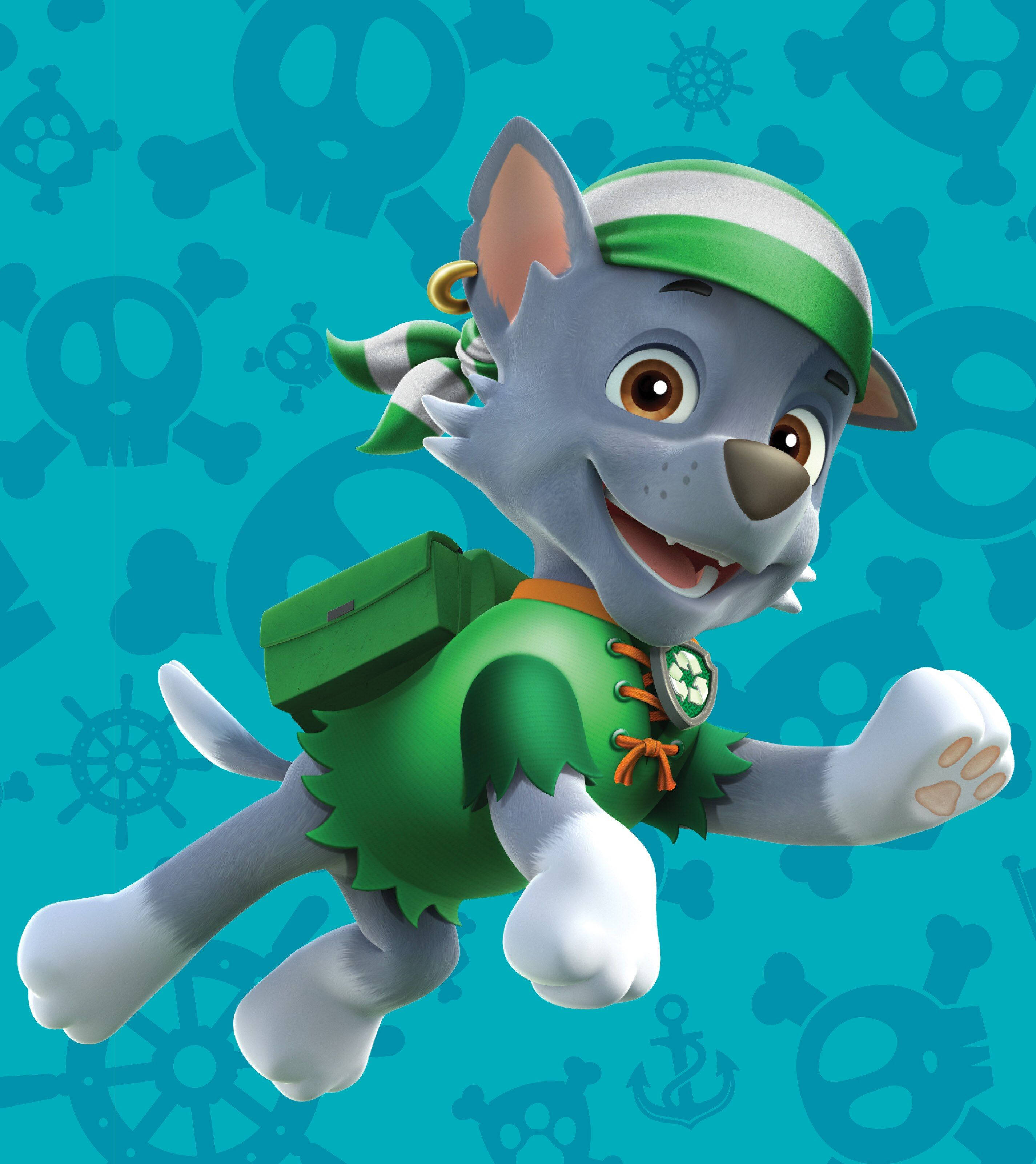 標題：冒險等待著汪汪隊海盜洛奇 壁紙