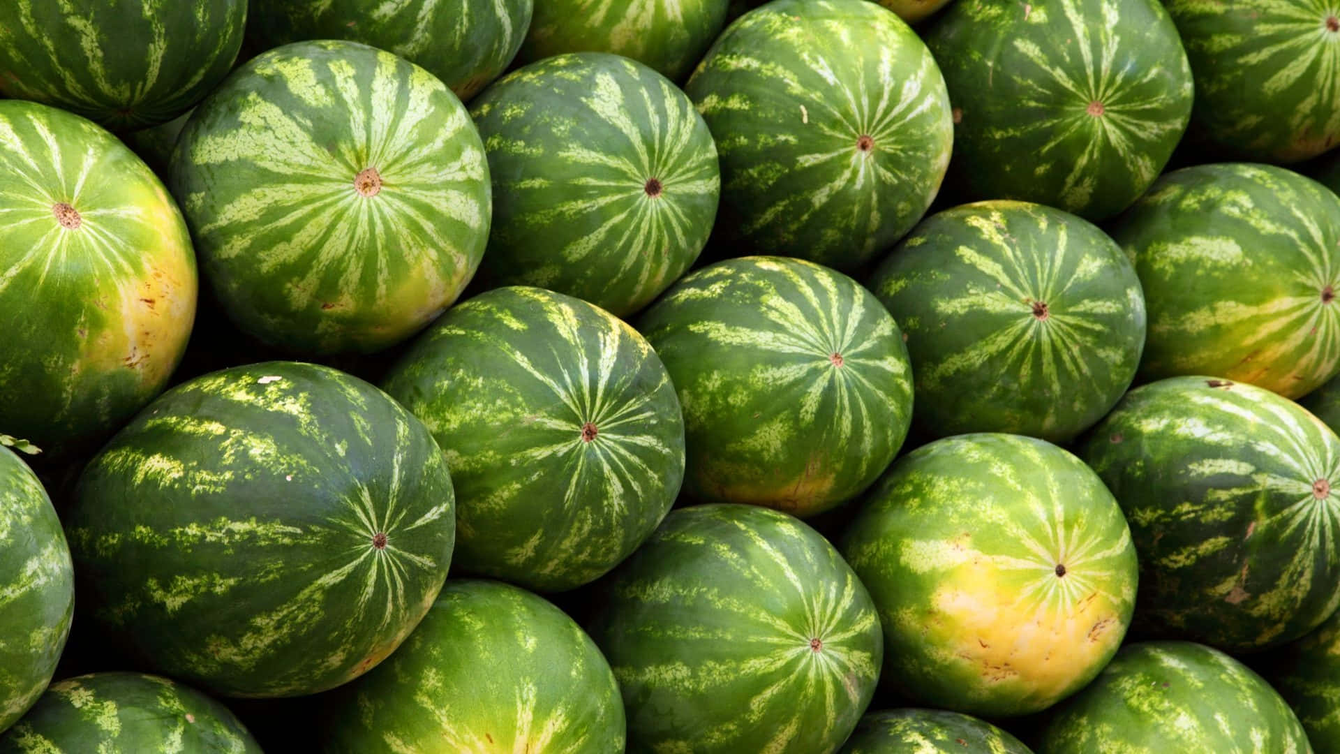 標題：夏日清涼一片 壁紙