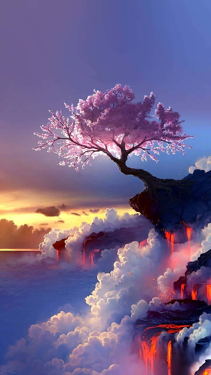 樱花背景 壁紙
