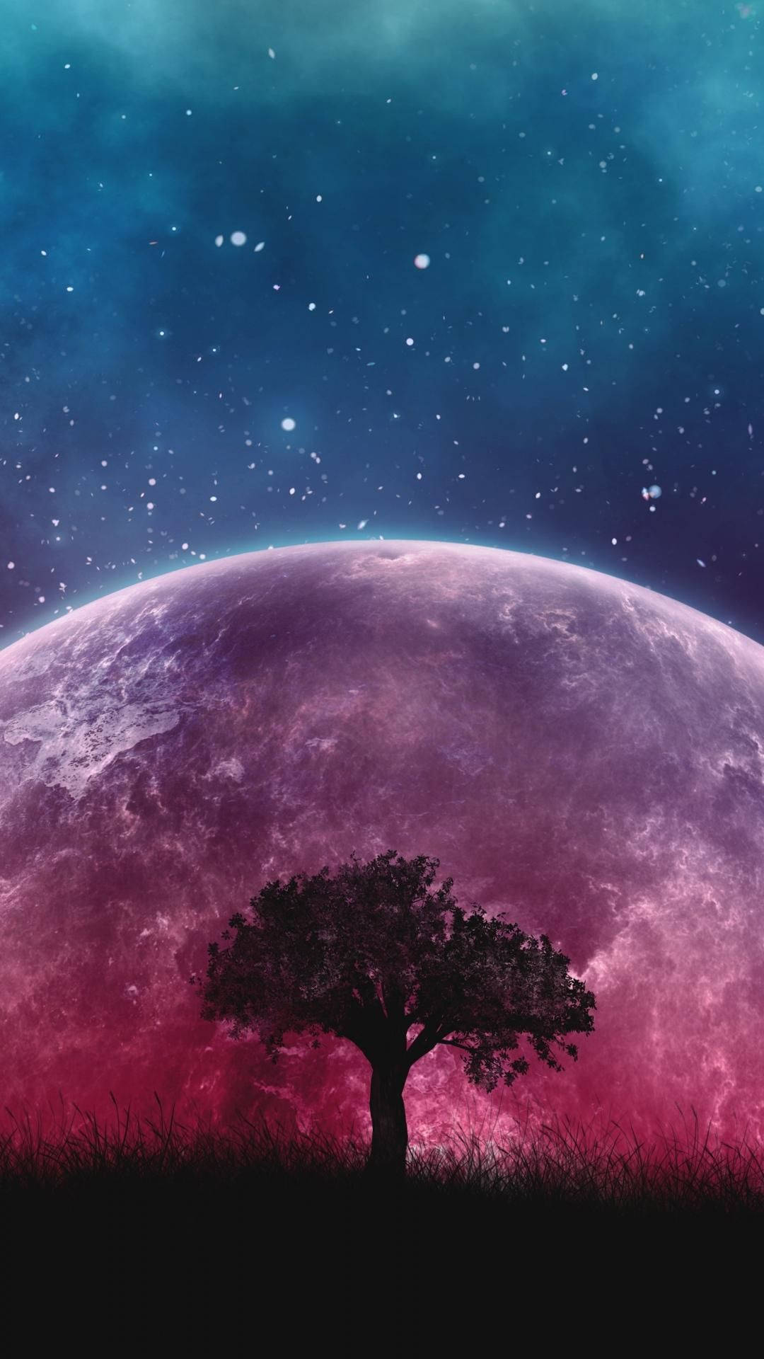 樹影映照可愛星系 壁紙