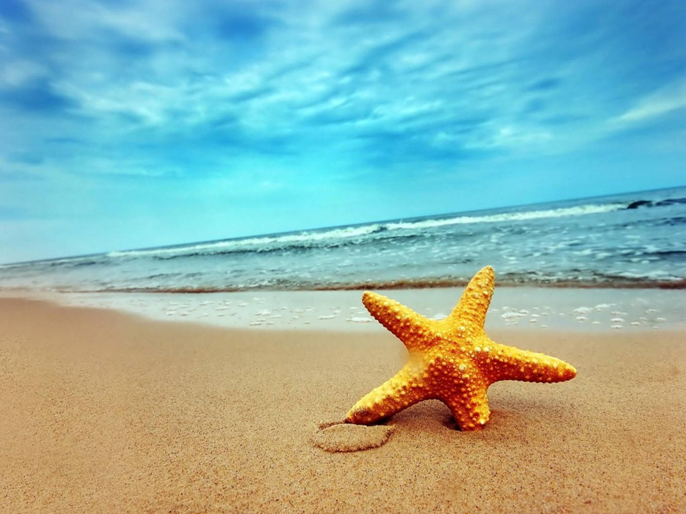橙色海星沙灘景觀 壁紙