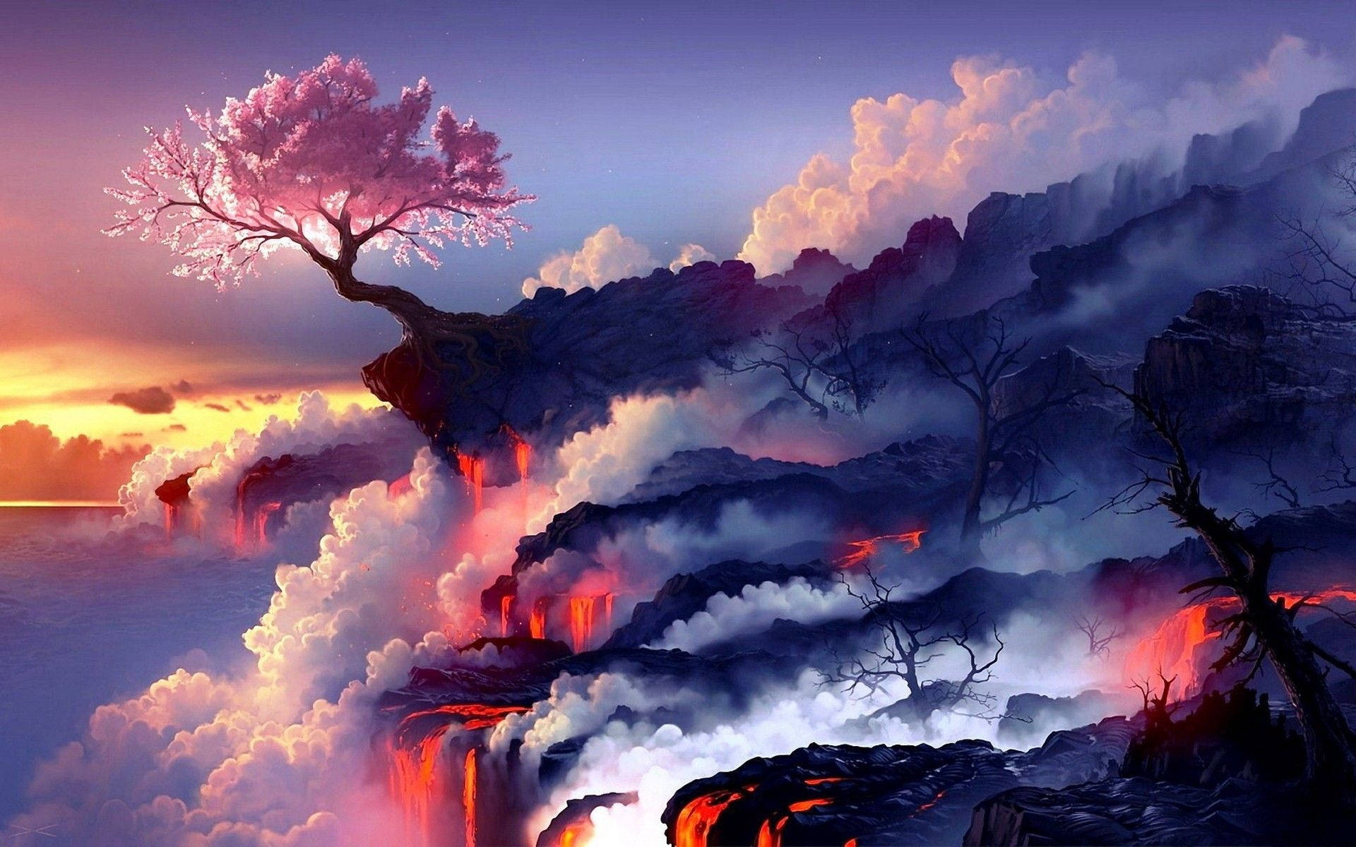 櫻花動漫藝術桌布
