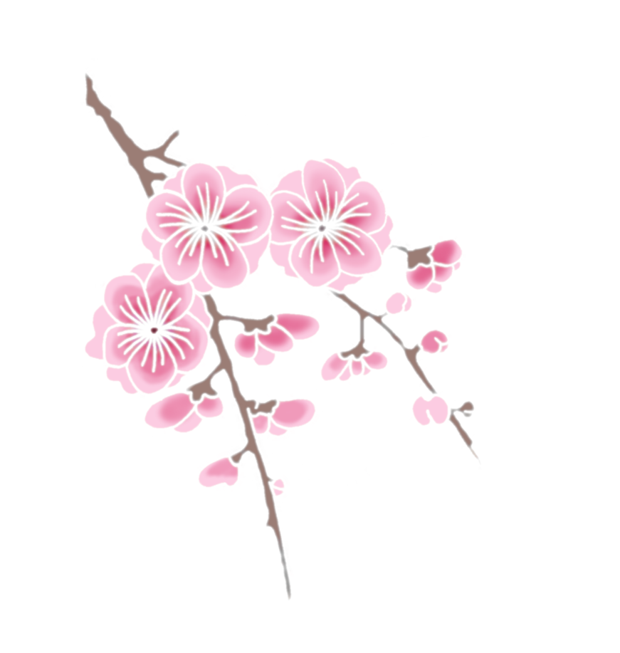 櫻花枝上綻放 壁紙