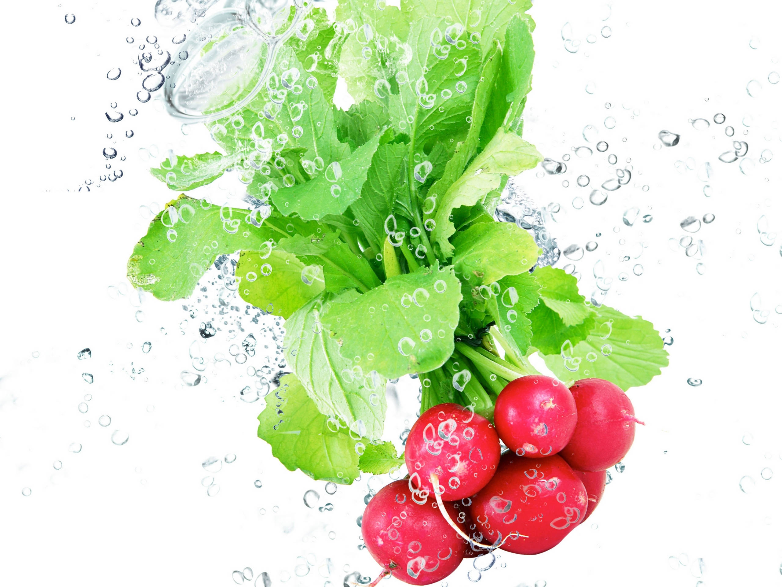 水中甜菜 壁紙