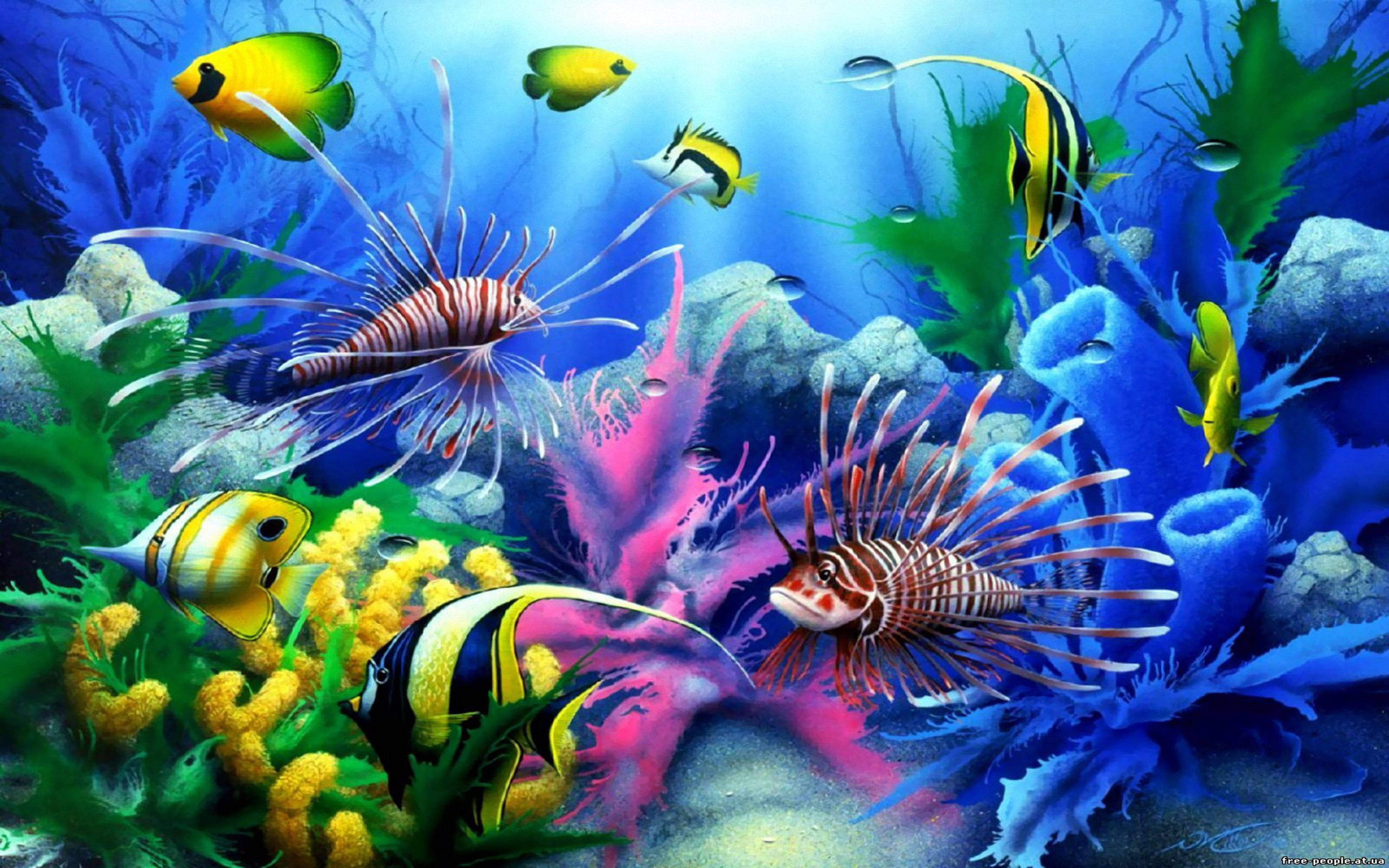 水族馆酷鱼 壁紙