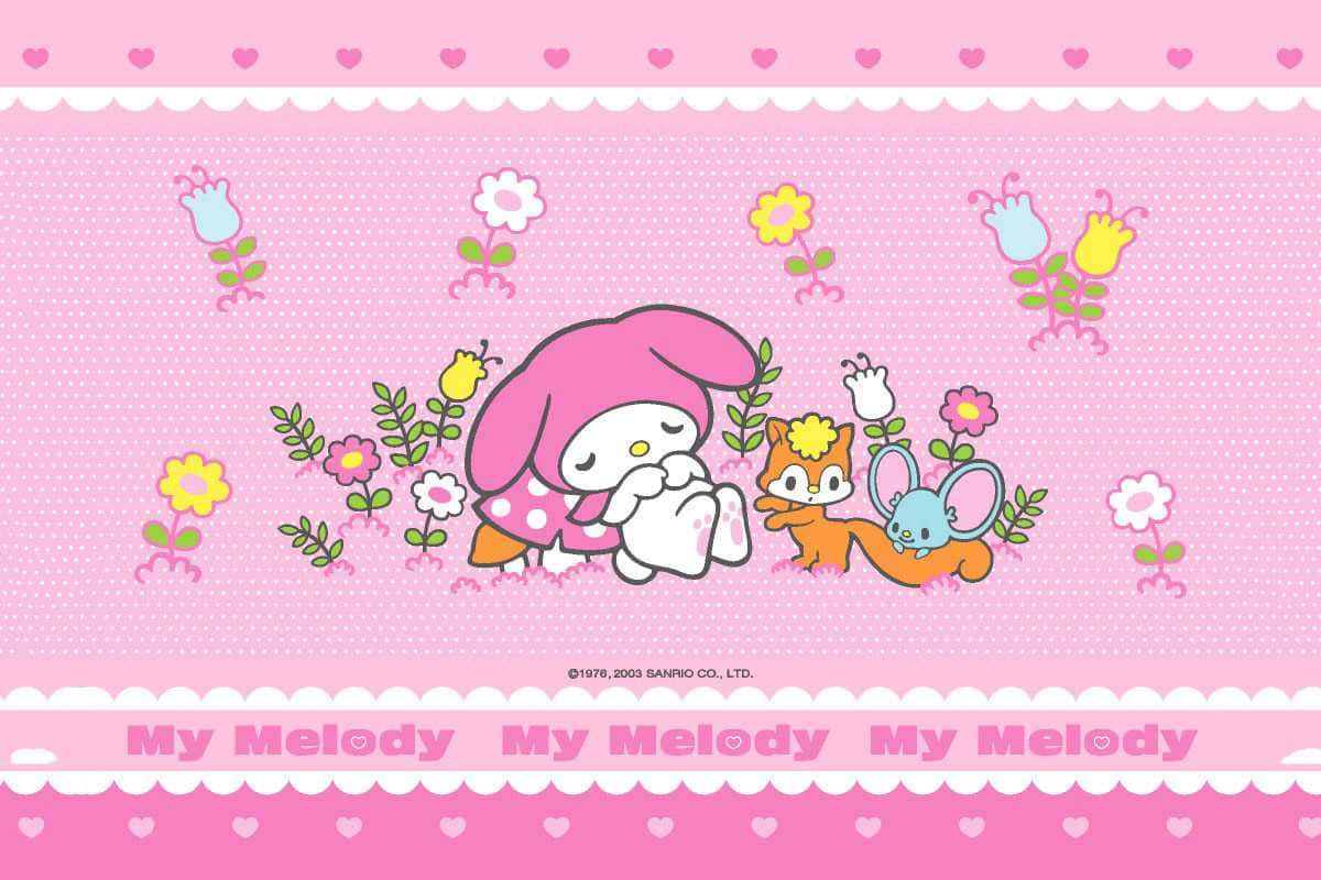 沉睡中的美樂蒂桌面花卉壁紙 壁紙