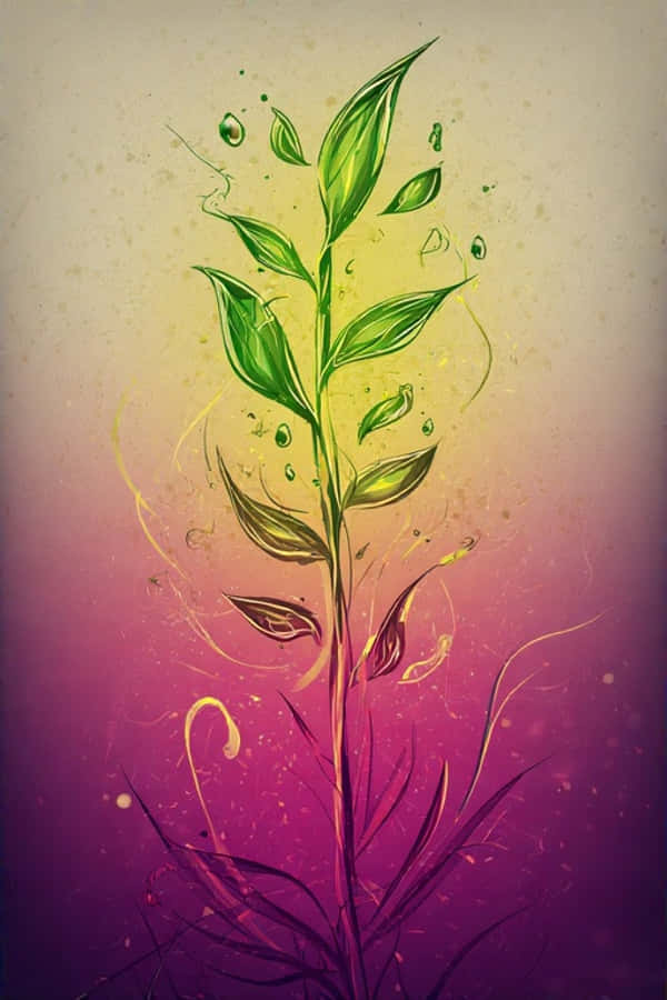 沙漠夢幻暮色中的露珠花莖 壁紙
