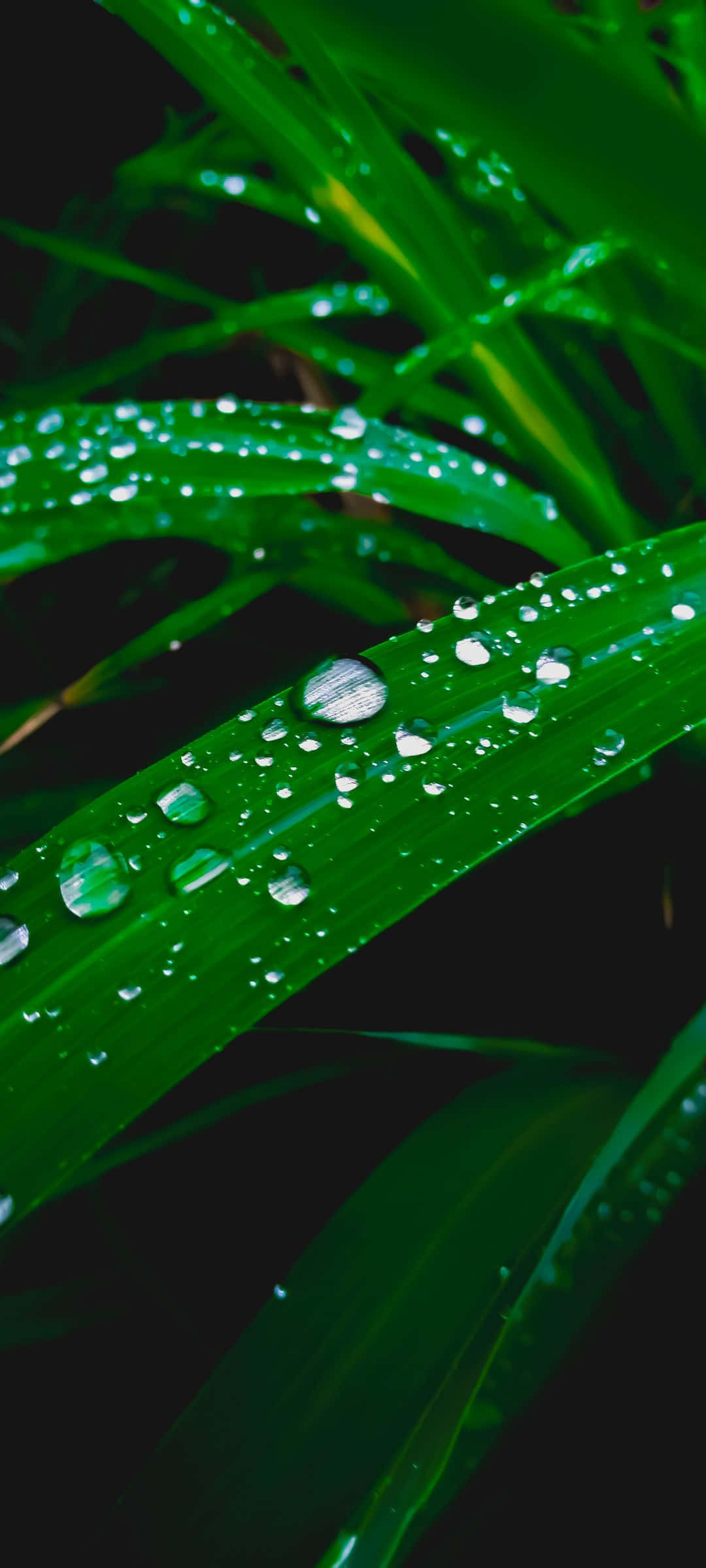 沙灘歡迎圖 壁紙