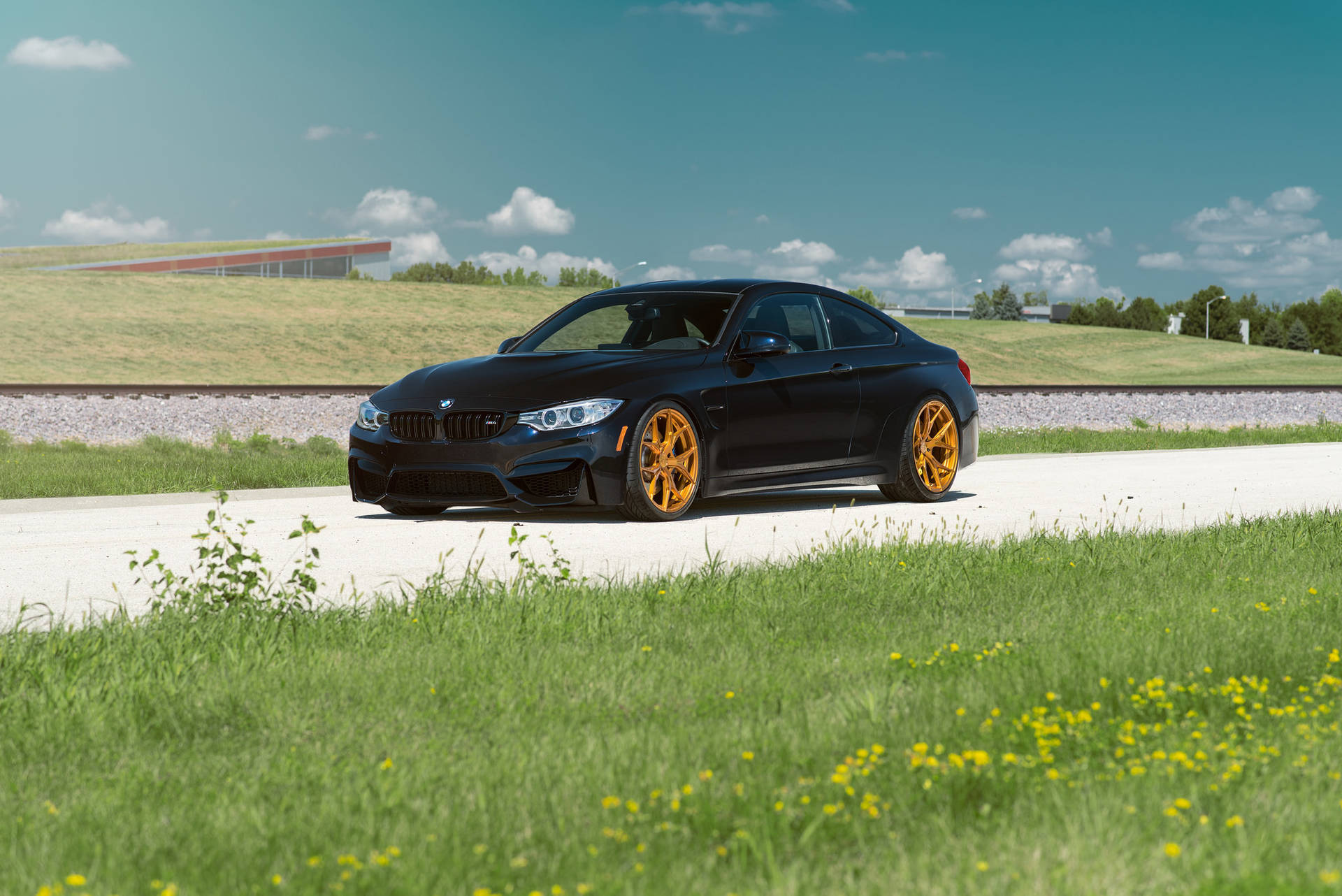 黑色BMW M4 F82在草地旁道路上的桌布 — 宝马 壁紙