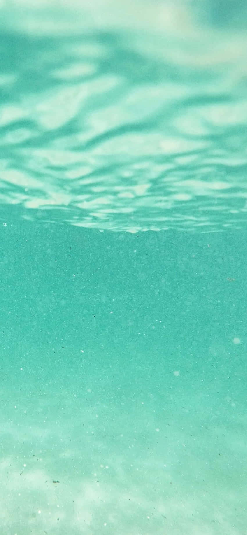 海洋水下視角 壁紙