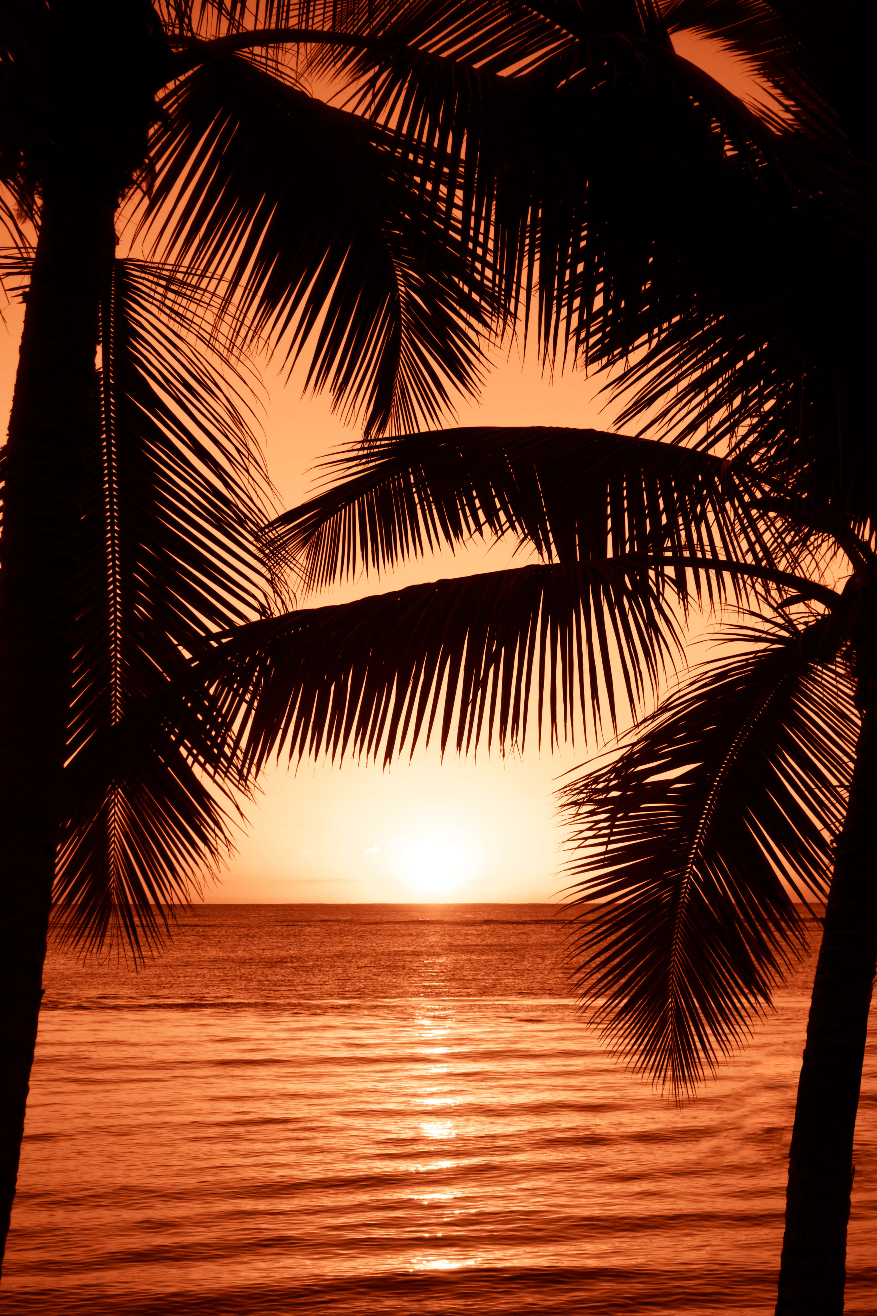 海灘上的美麗夕陽 壁紙